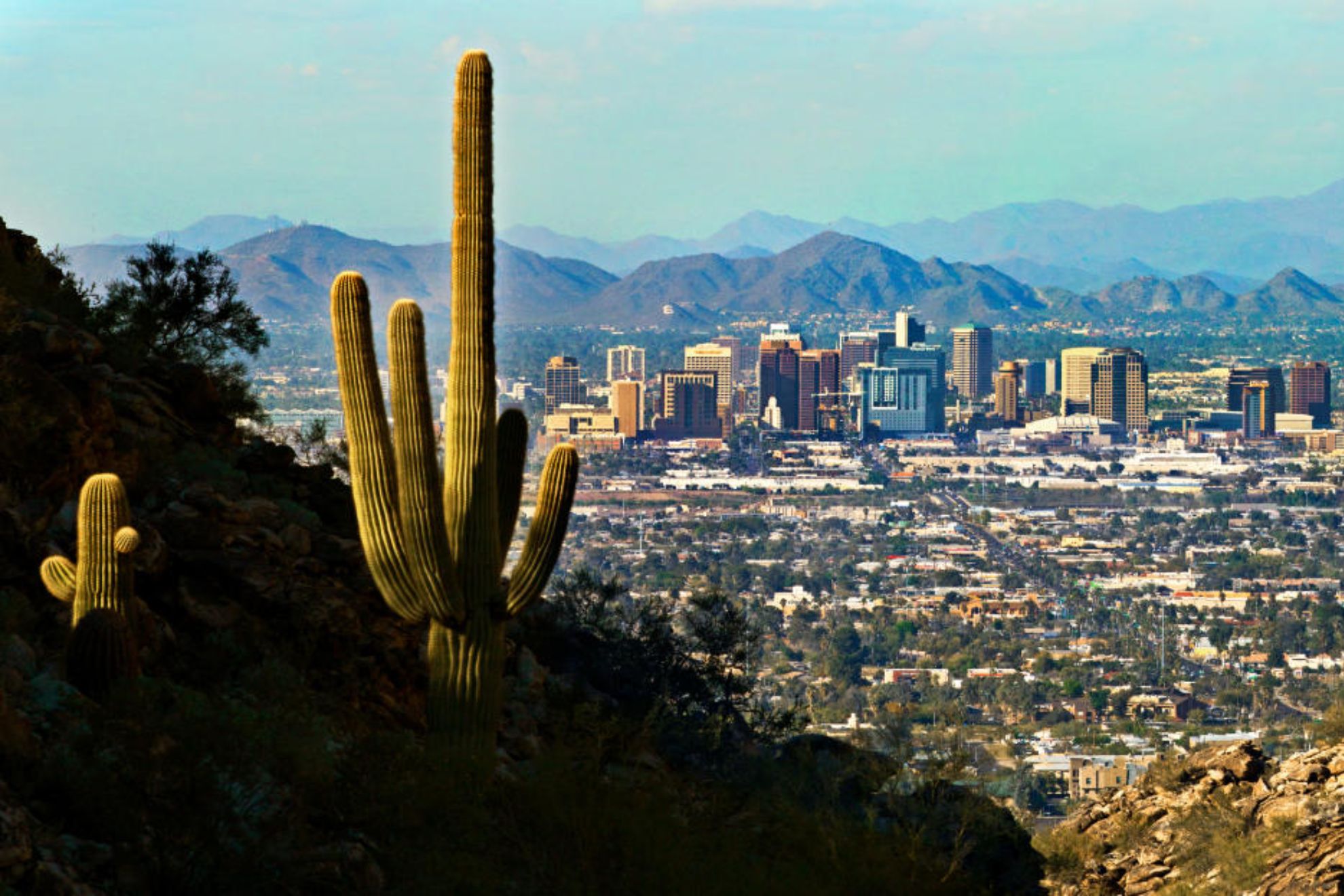 Phoenix
