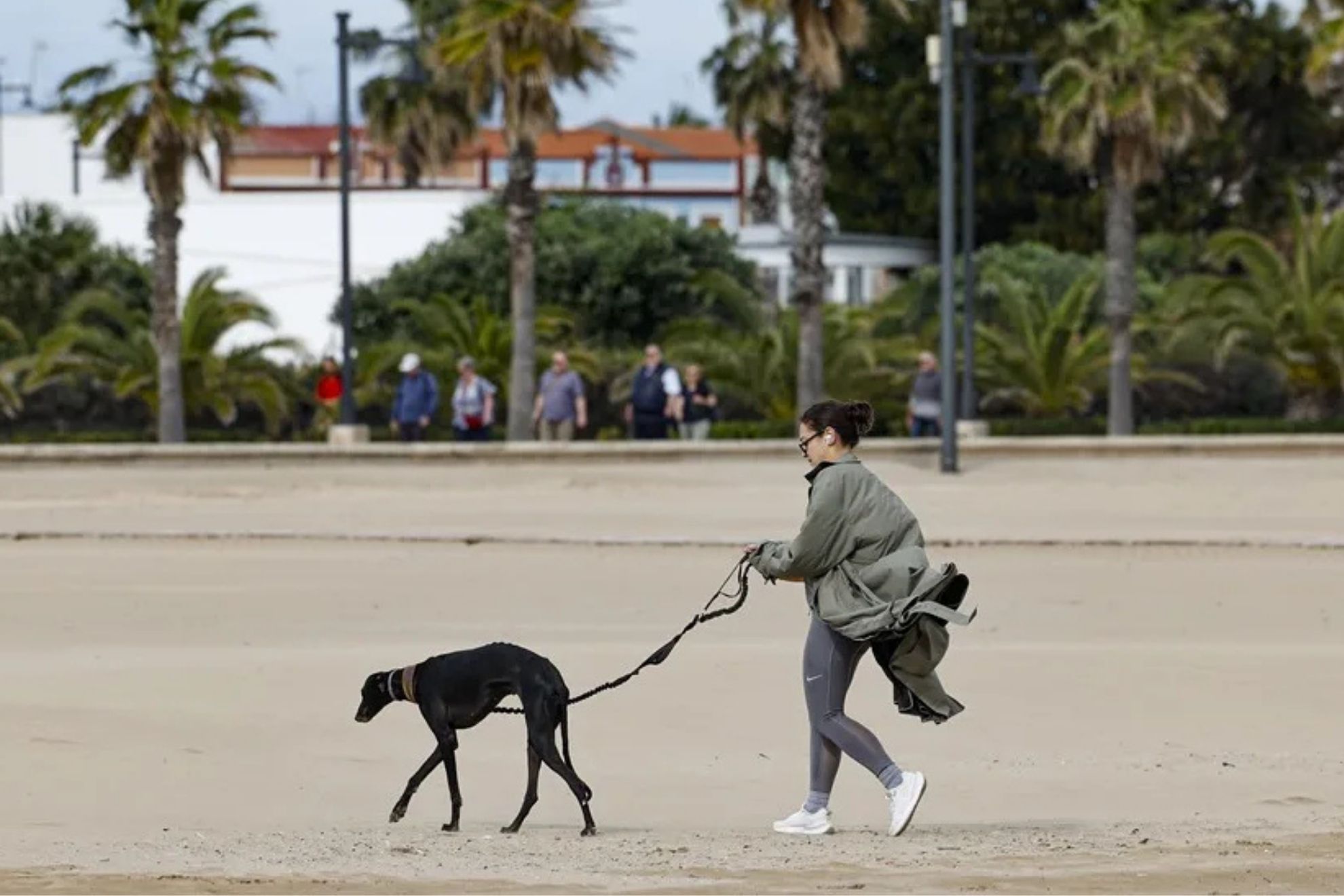 Dueño con mascota EFE