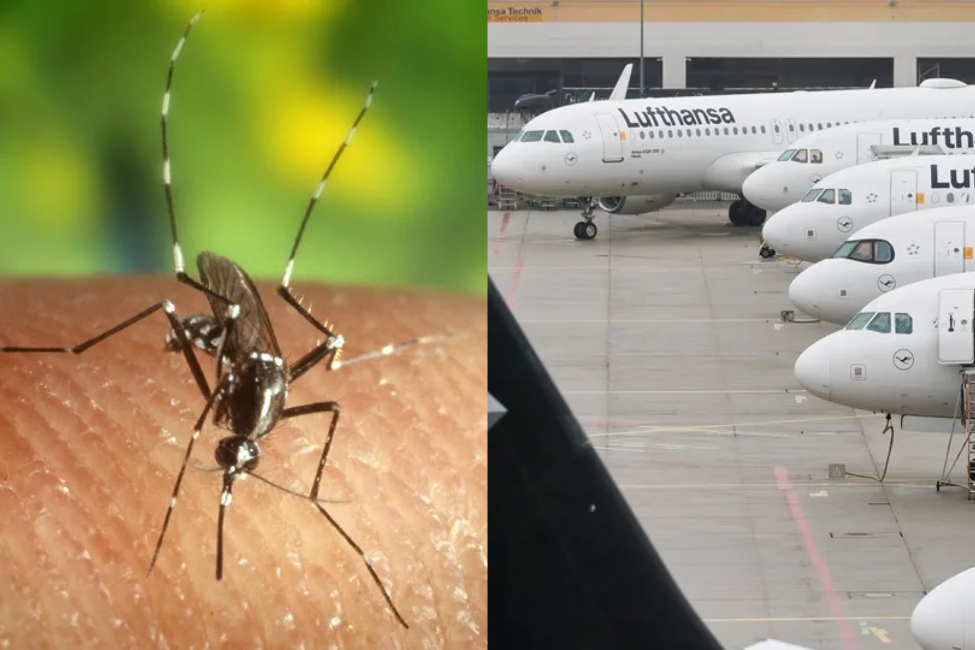 Malaria izquierda, aerepuerto derecha EFE