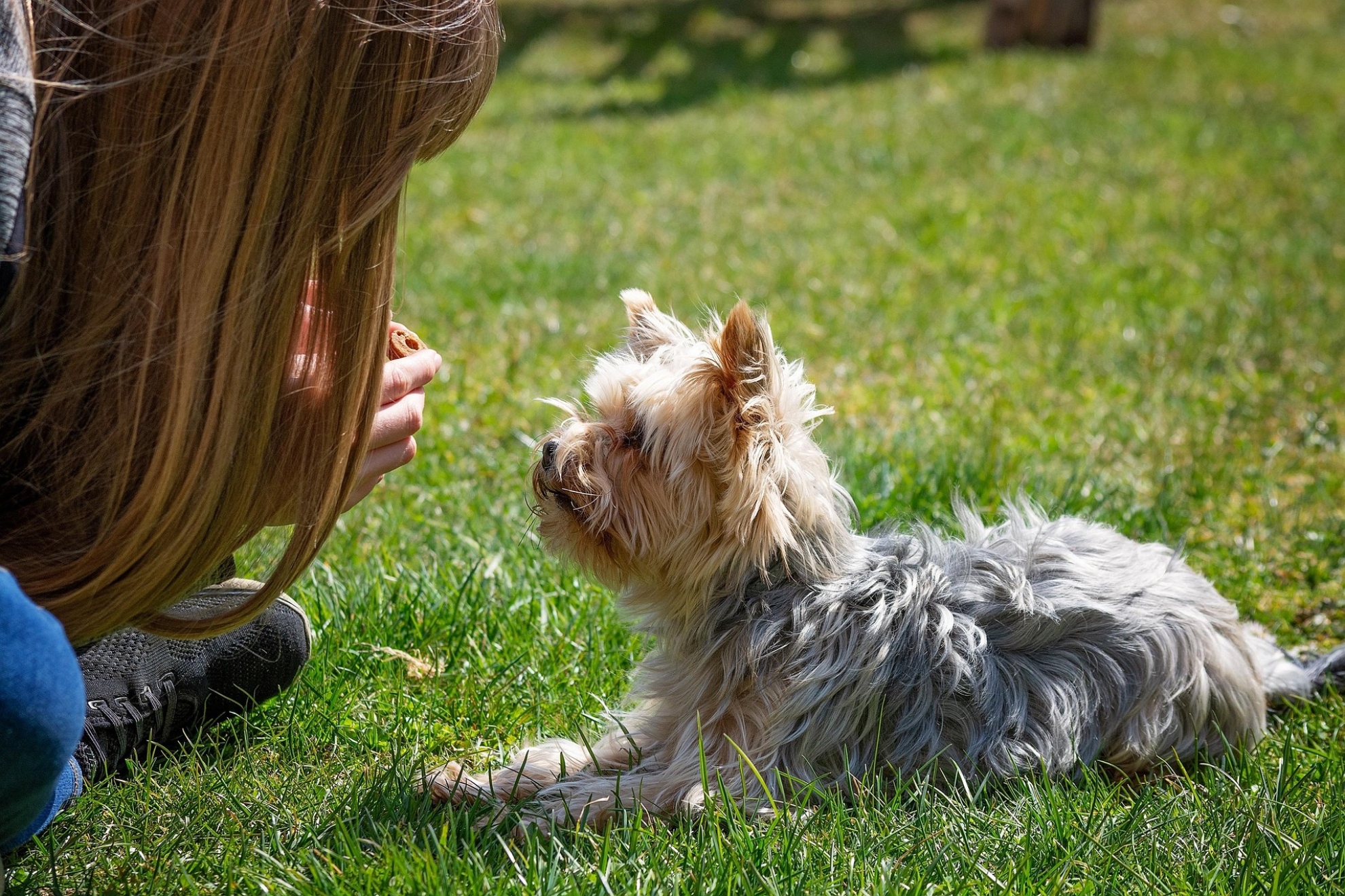 Imagen de recurso de una persona con un perro. Pixabay.