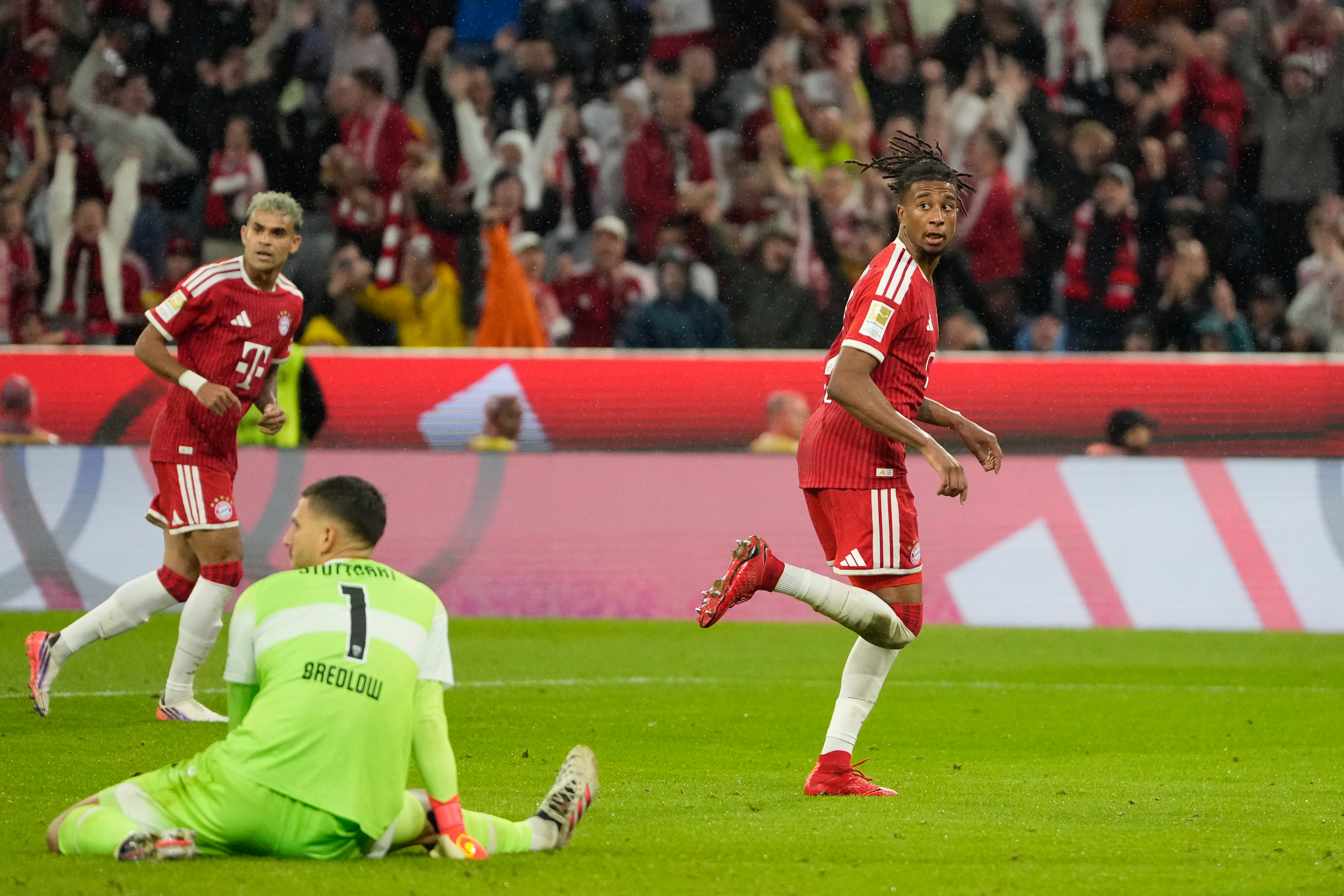 Olise celebra el segundo tanto del Bayern AP Photo/Matthias Schrader