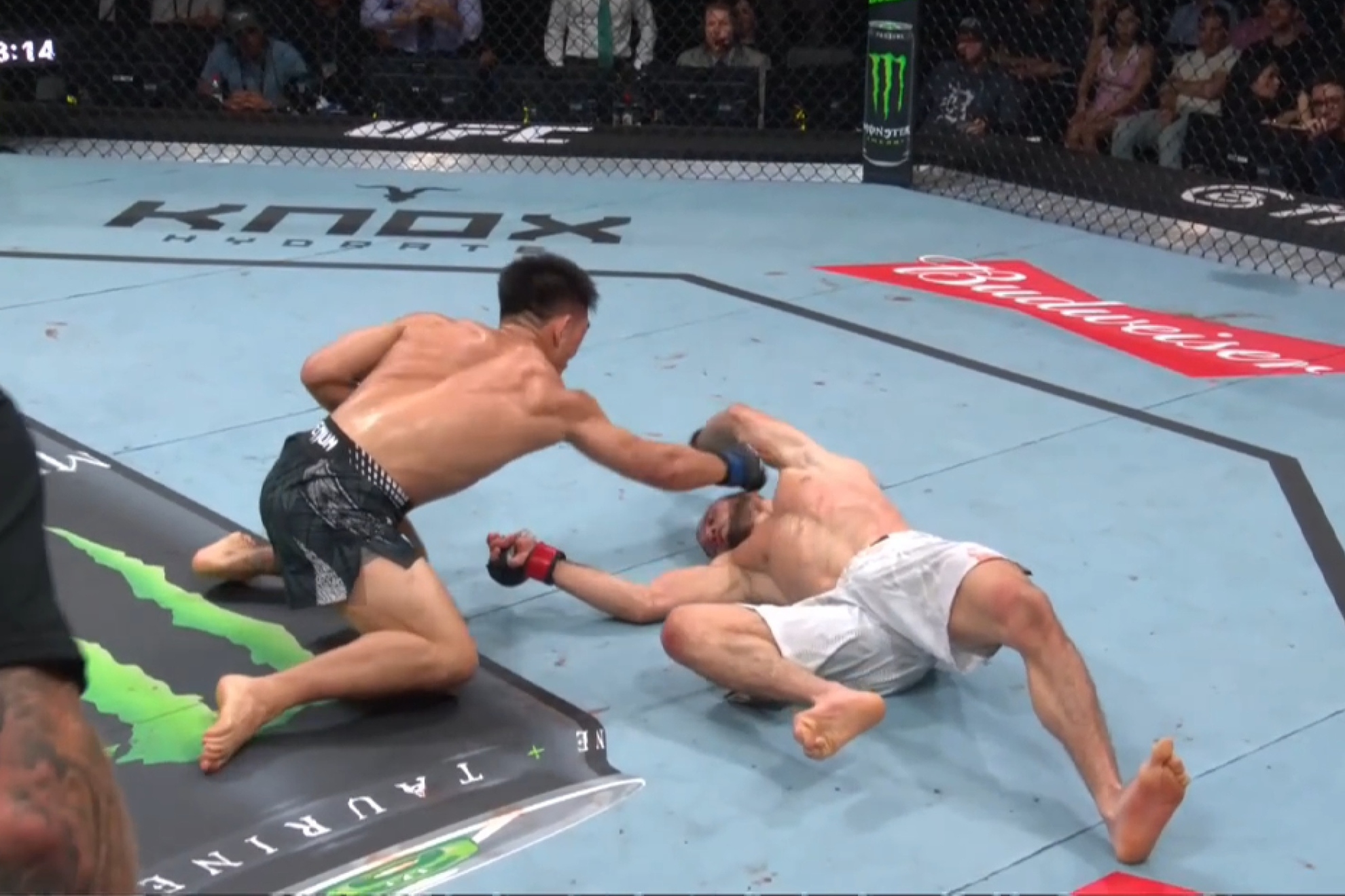Song Yadong noqueando a Umar Nurmagomedov. UFC.