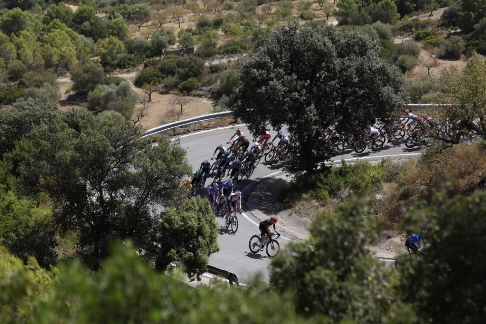 El pelotón, en LaVuelta.
