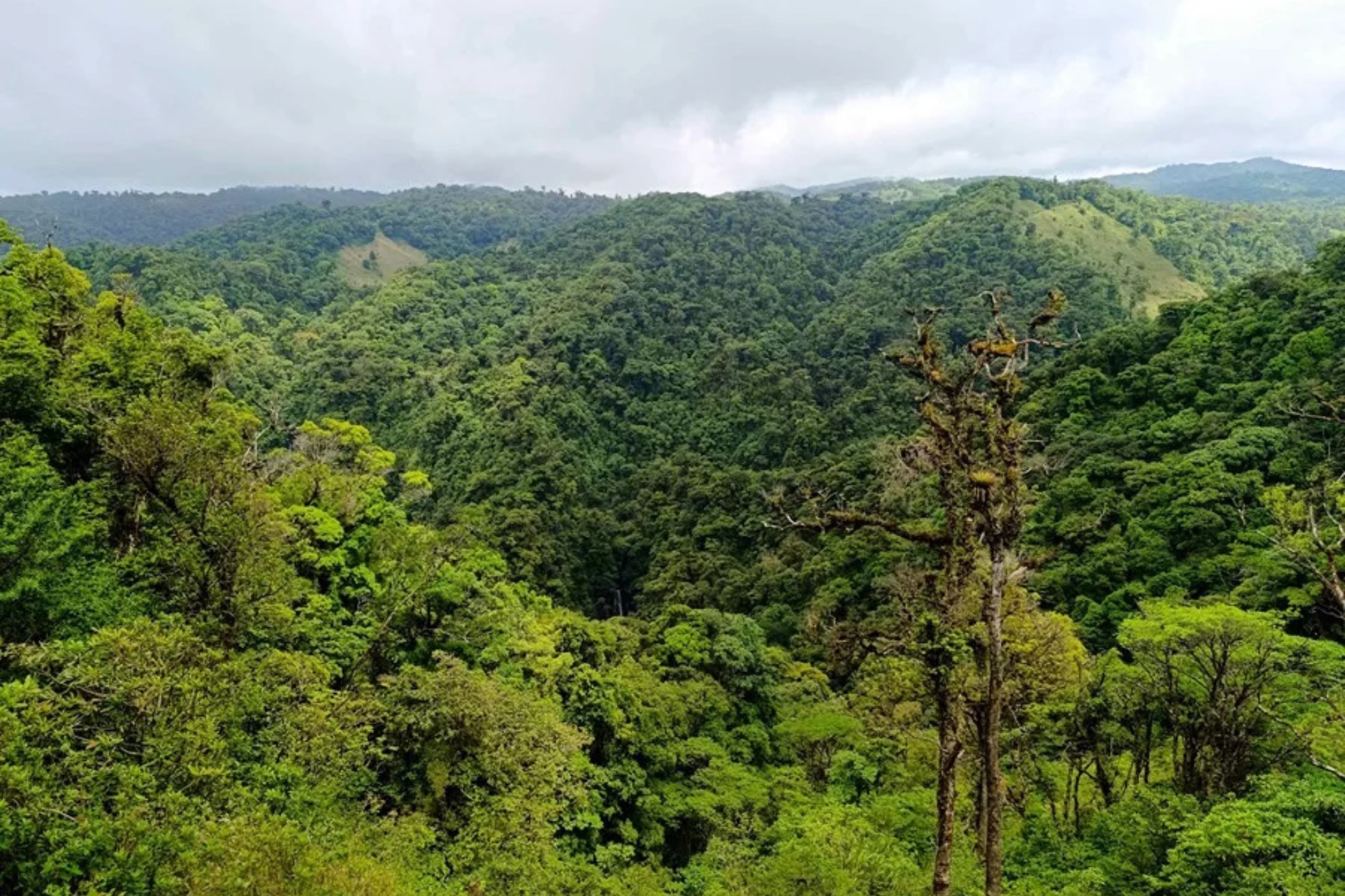 Costa Rica EFE