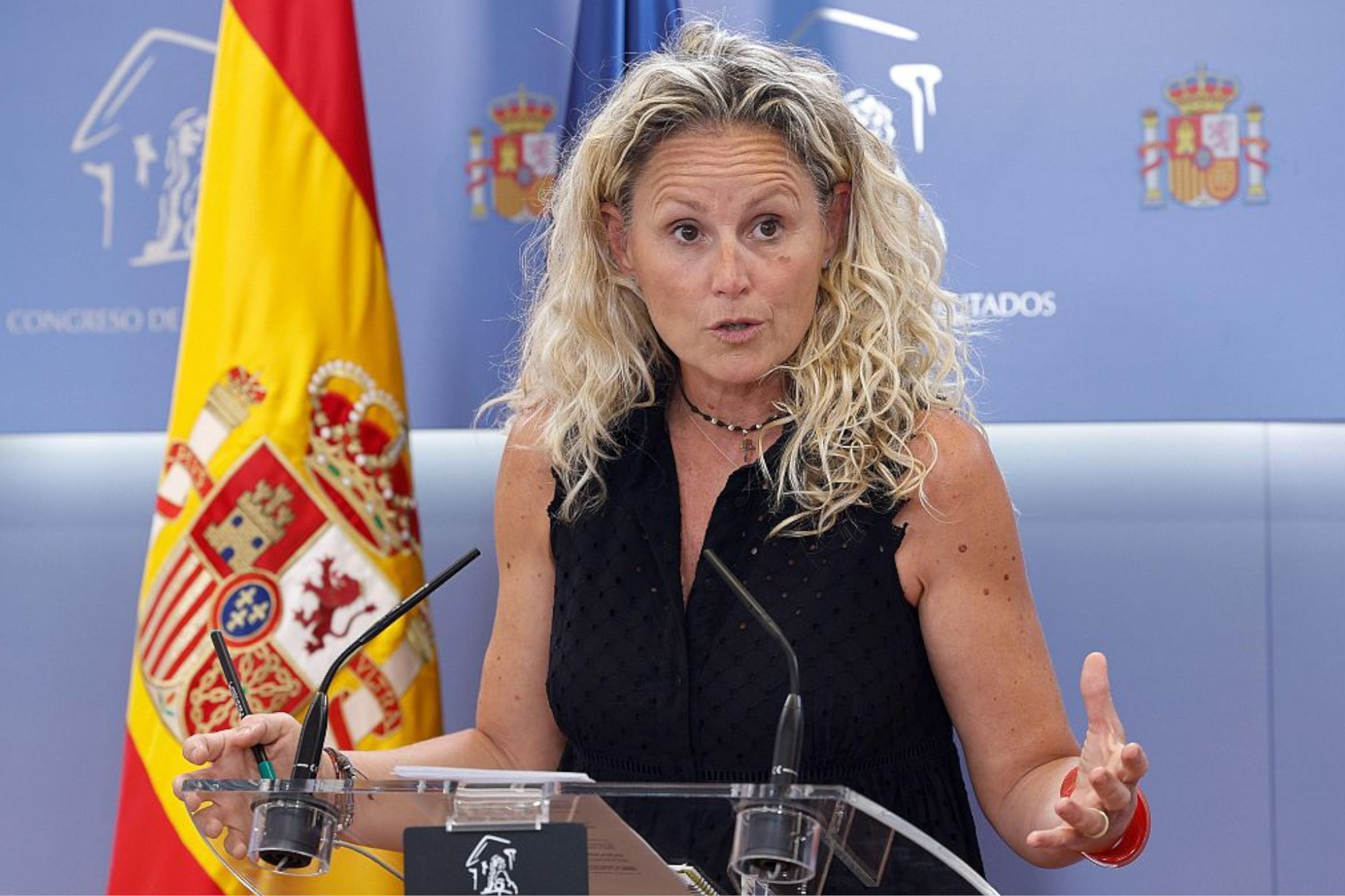 Montse Mínguez, portavoz del PSOE RTVE