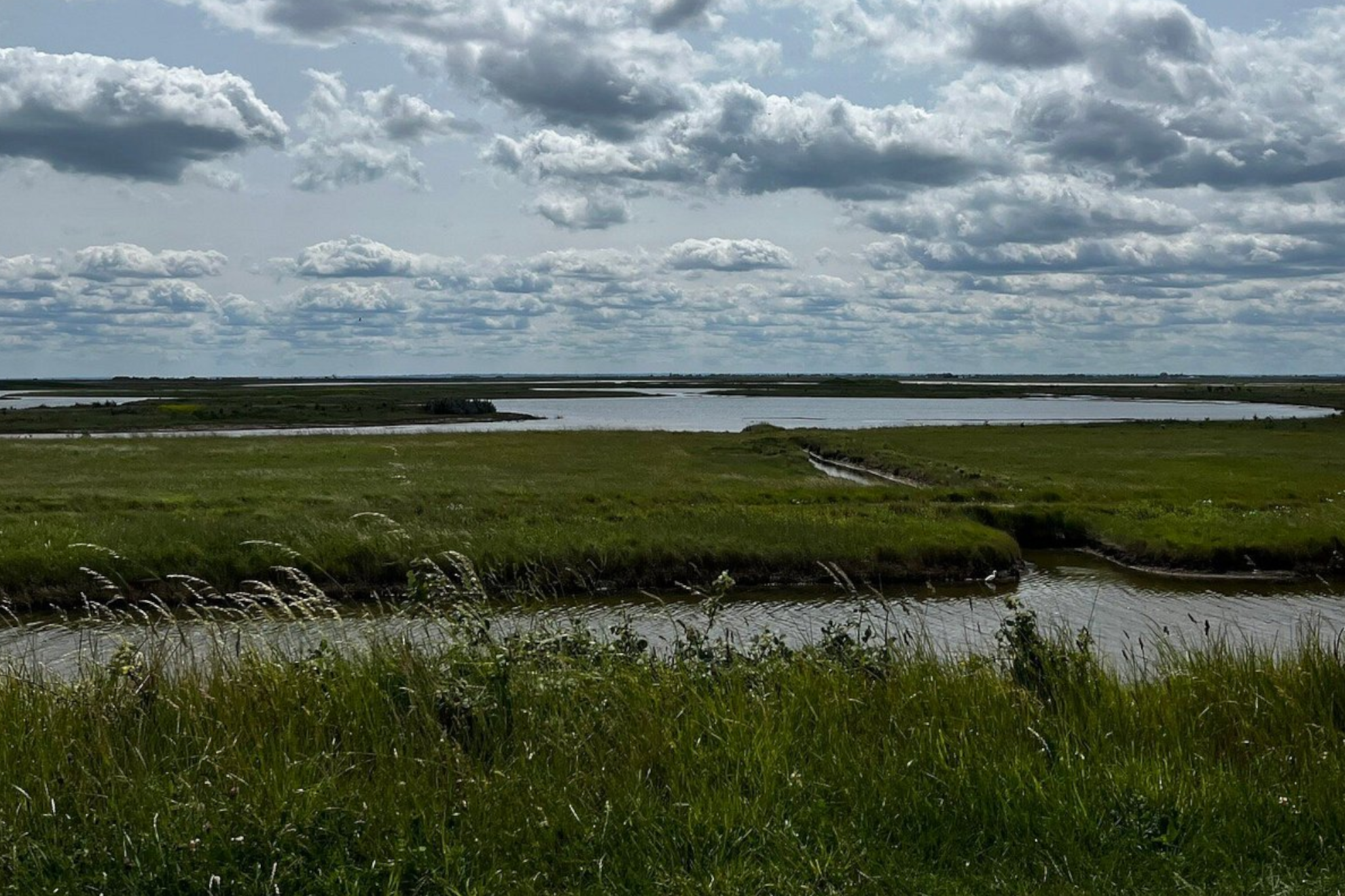 Imagen de lagunas en la Isla de Wallasea