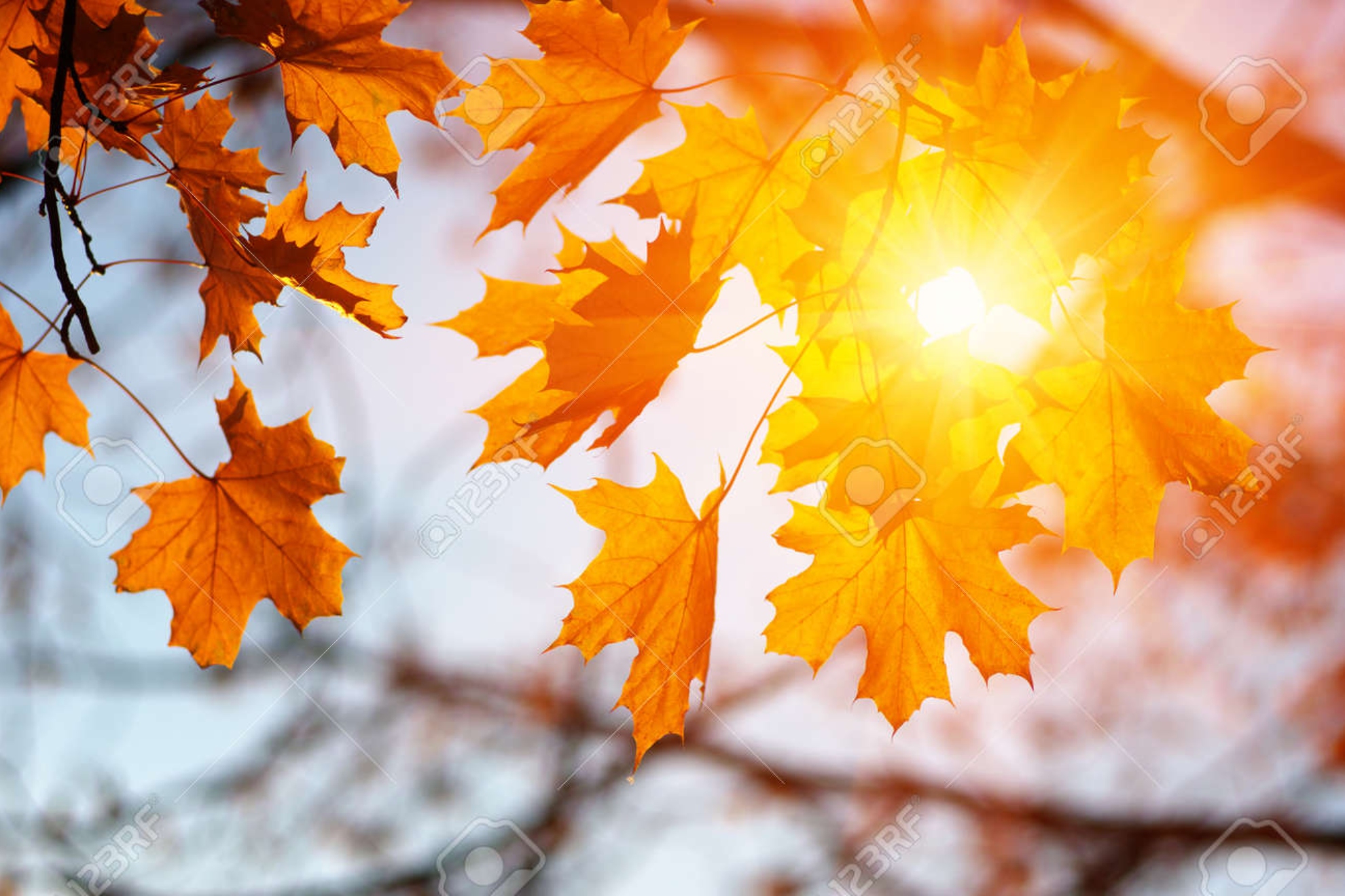 Cómo será el tiempo en este otoño en España y en especial en el Mediterráneo. RRSS