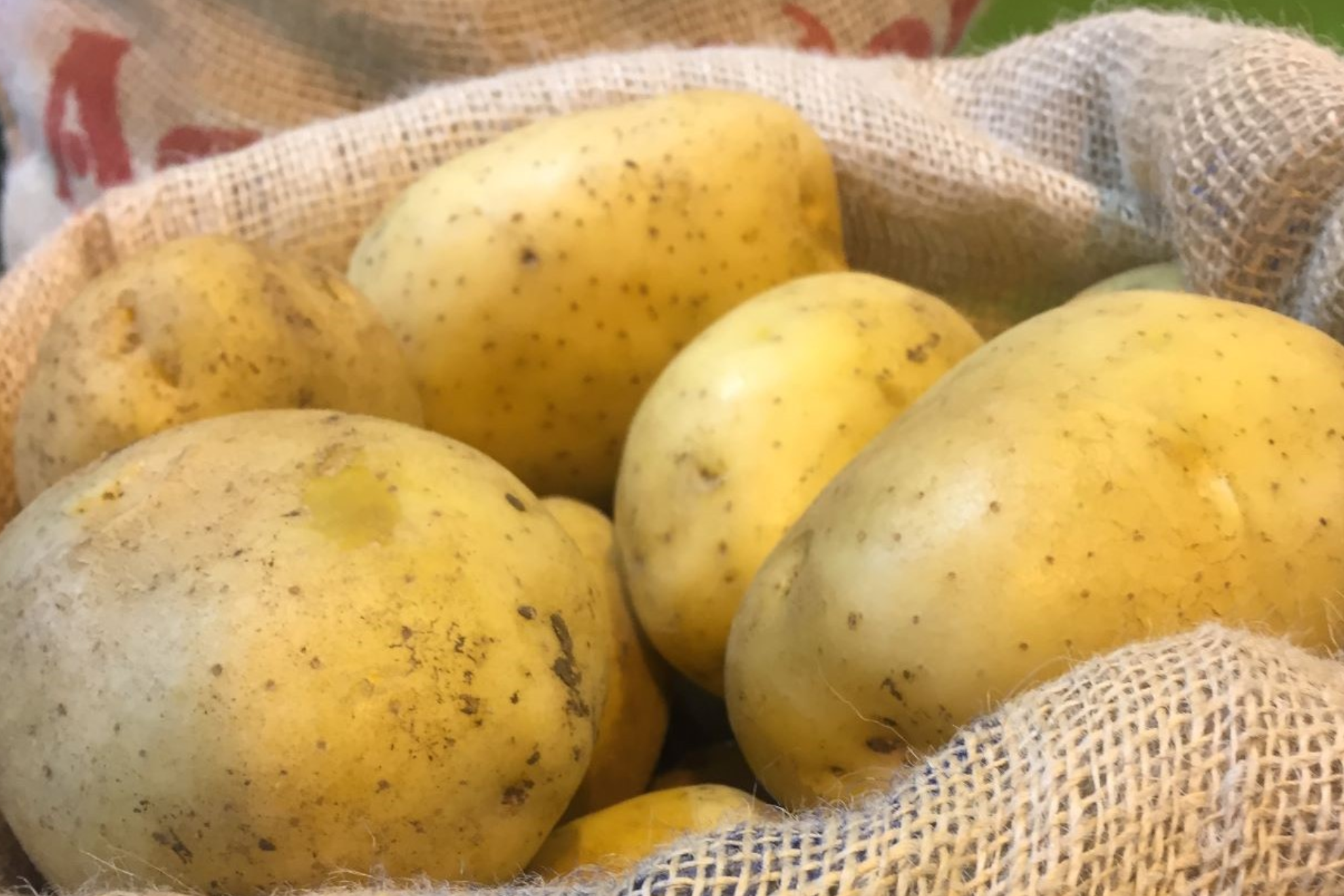 Imagen de patatas en un saco EFE