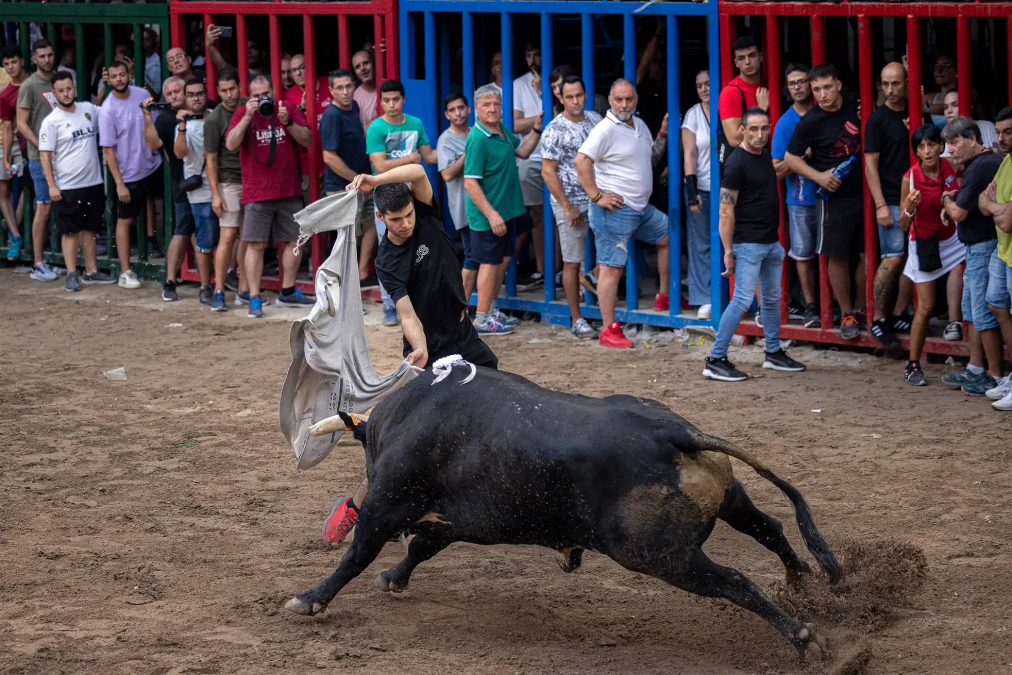 Bous al carrer. EFE