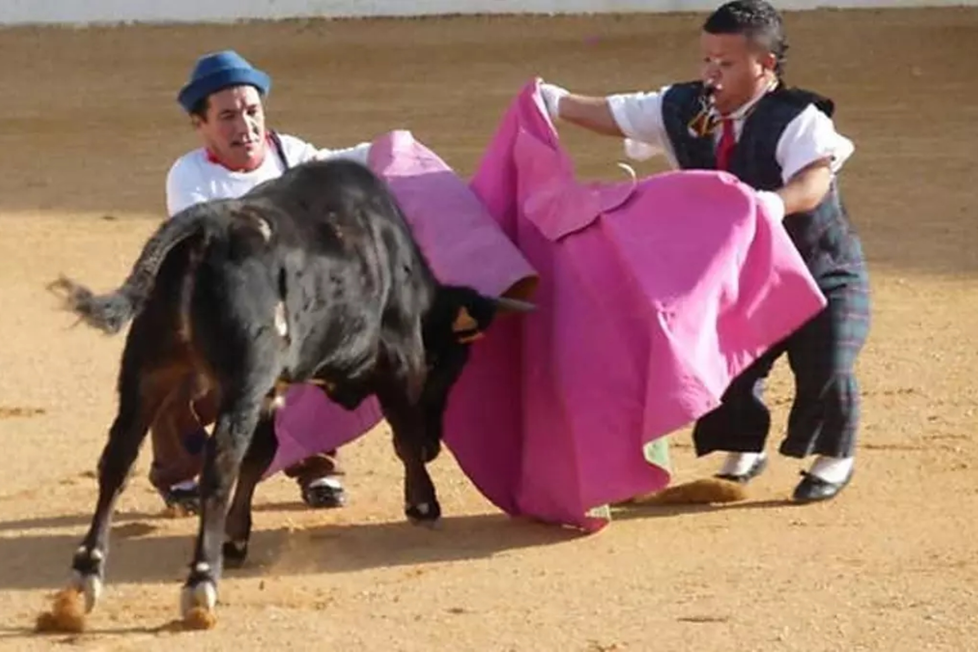 Denuncian a dos municipios por ciertas fiestas de toros. TVE