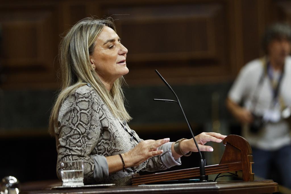 La ministra de Educación, Milagros Tolón interviene durante el pleno en el Congreso de los Diputados en Madrid, este miércoles. EFE