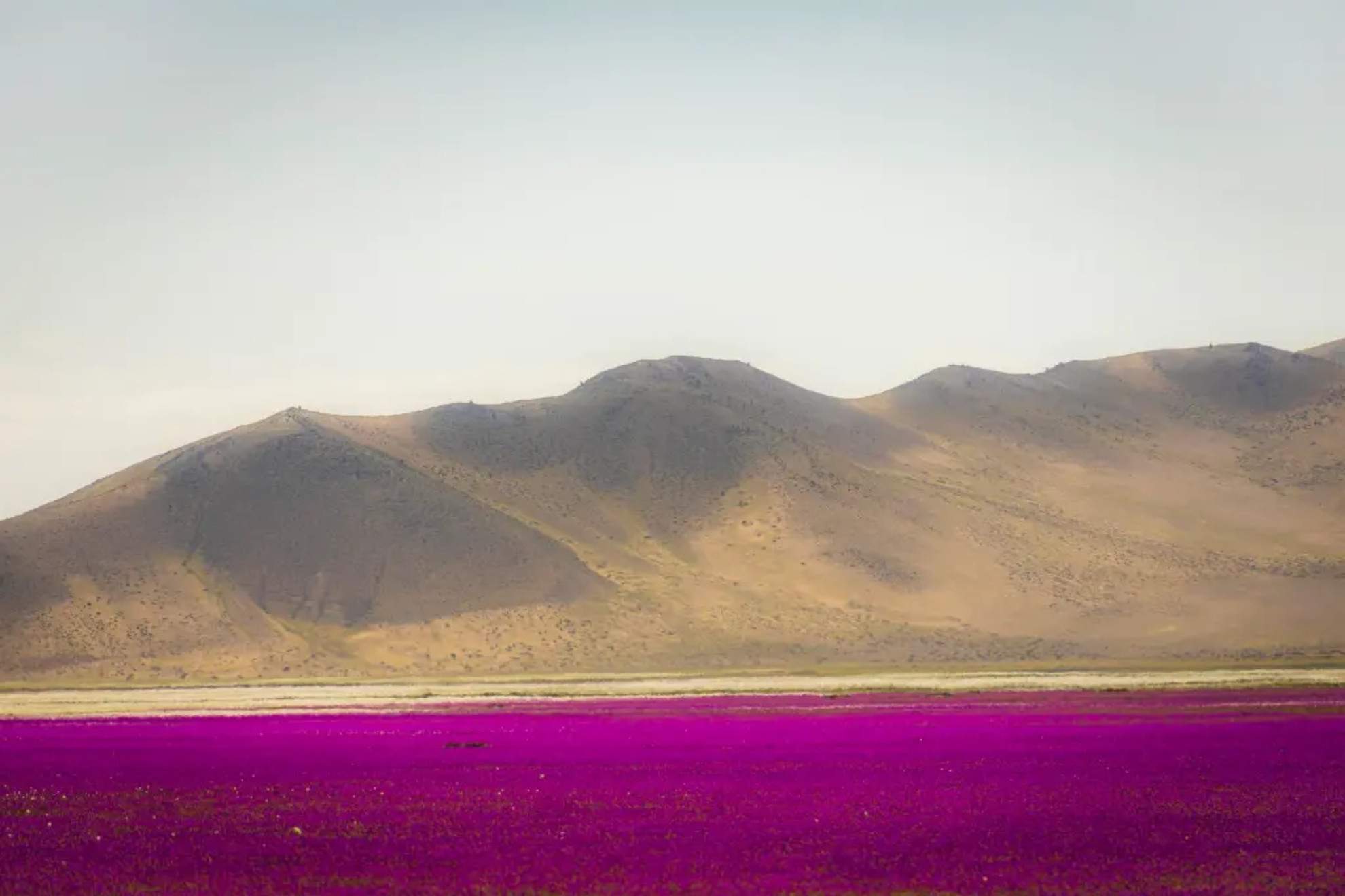 El Atacama, desierto situado en Chile EFE