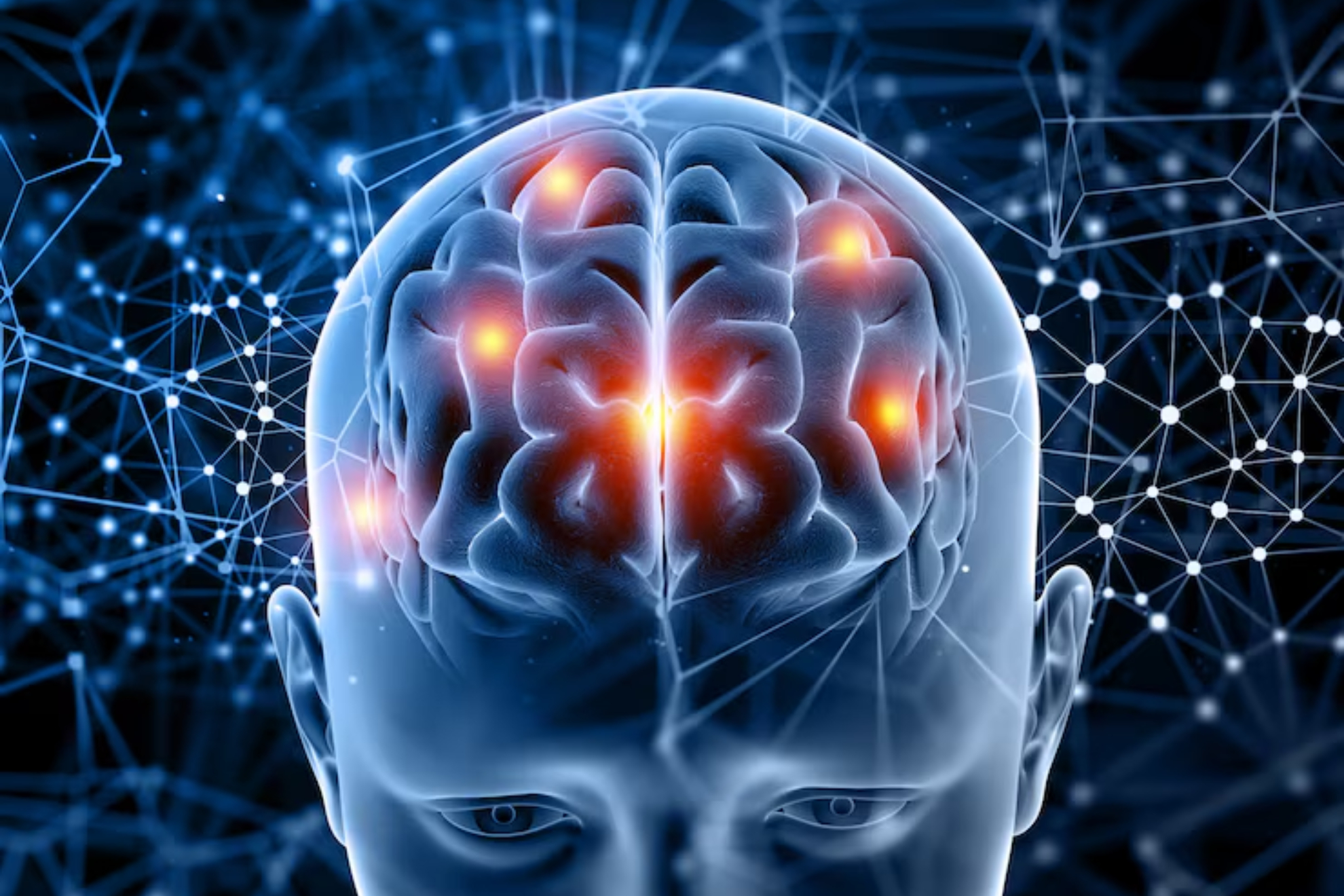 Cerebro humano Magnific