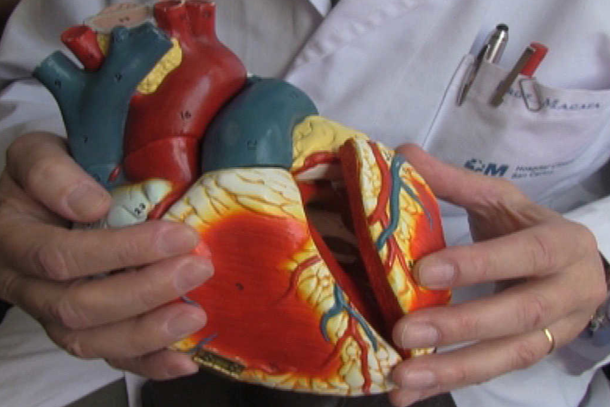 Imagen de un corazón de plástico EFE