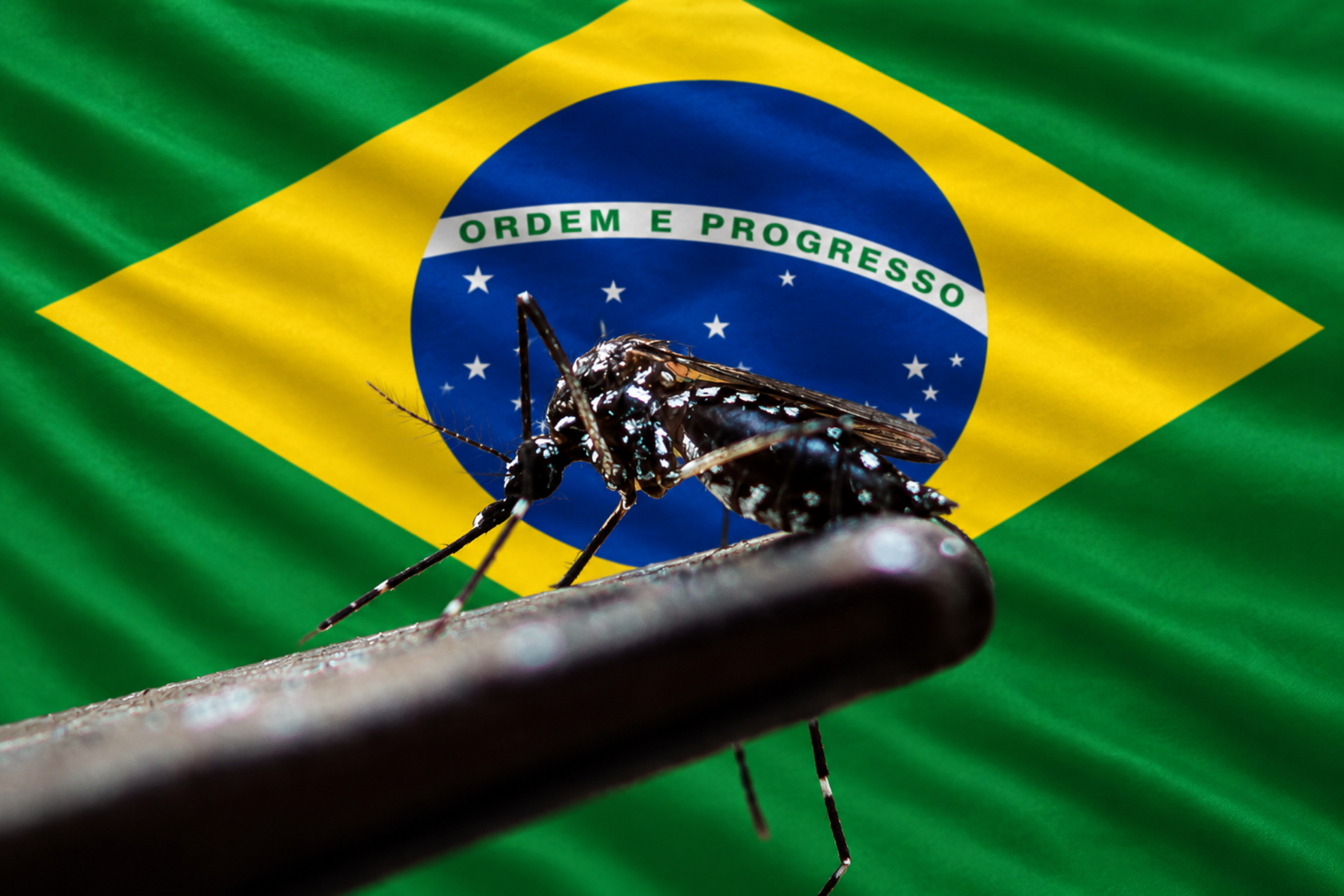 Dengue junto con la bandera de Brasil IA