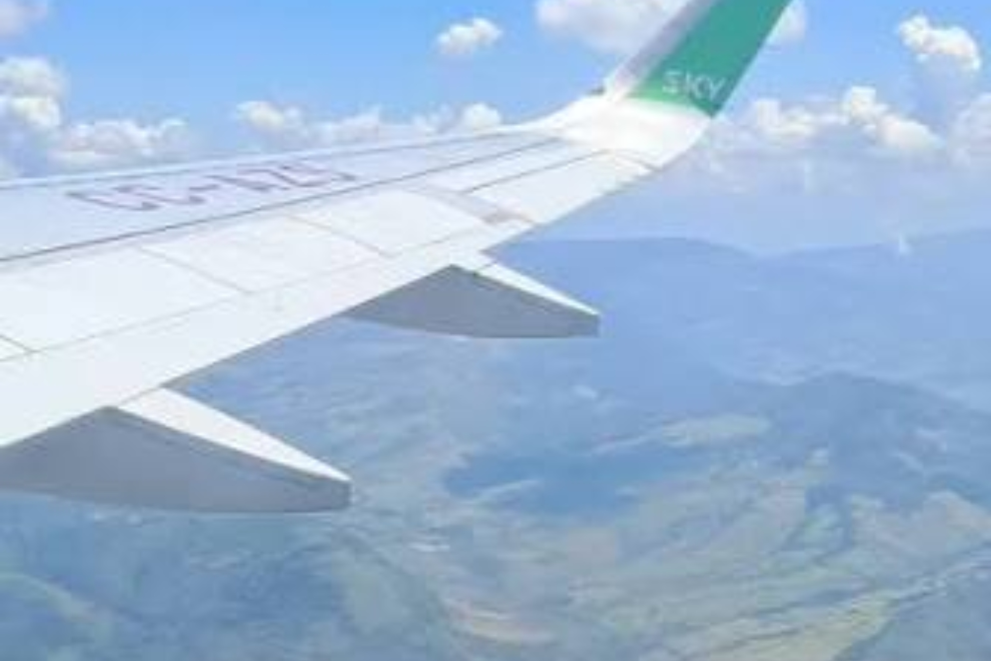 El accidente de avión y una superviviente. RRSS