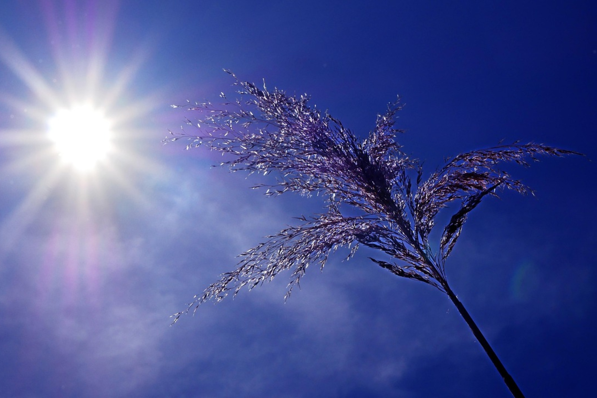 Imagen del sol asfixiante. Pixabay.