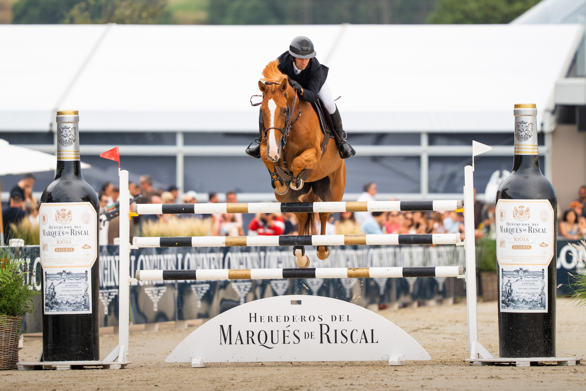 Oxer Sport