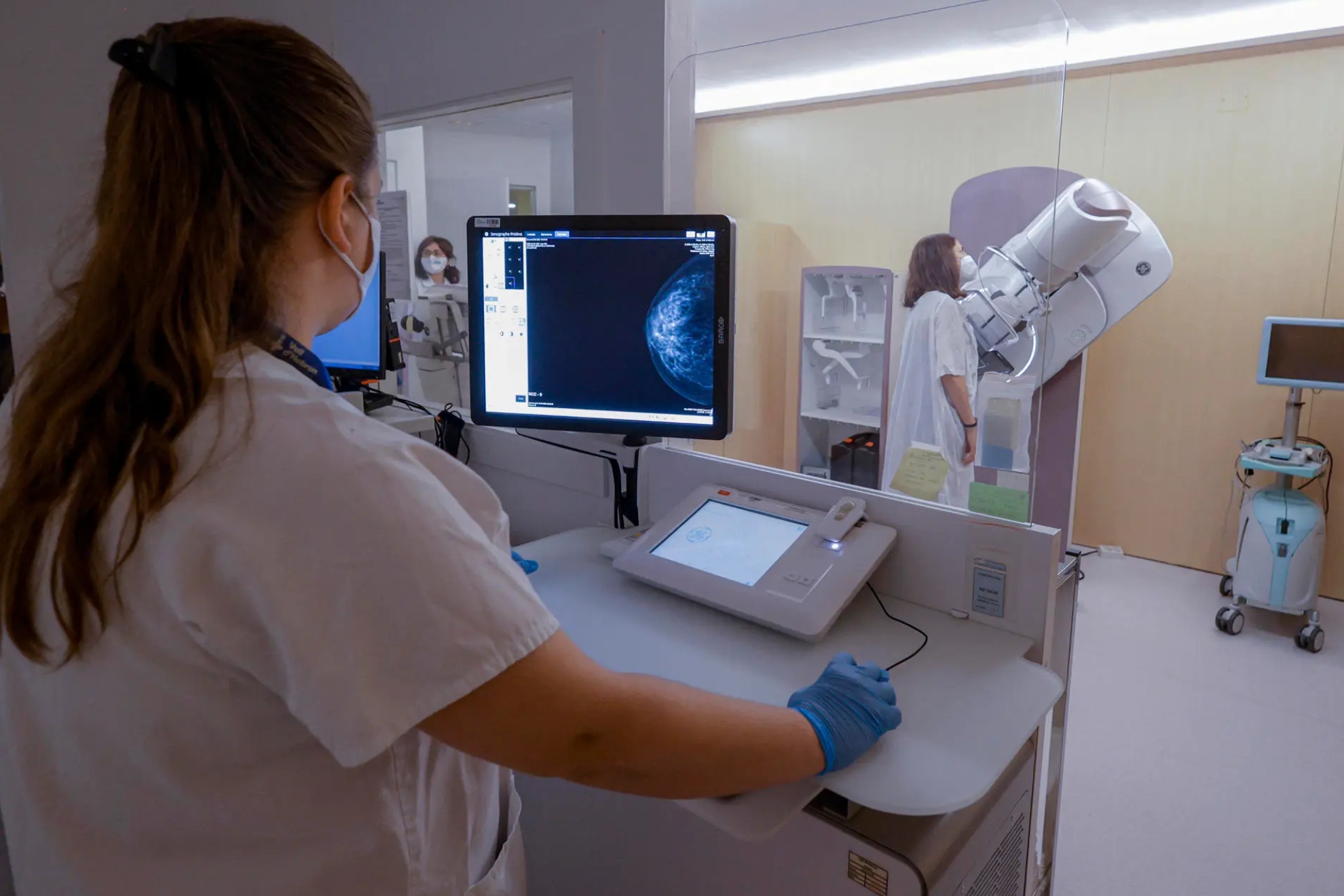 Científicos españoles logran frenar la metástasis del cáncer de mama bloqueando la proteína RAC1 EFE