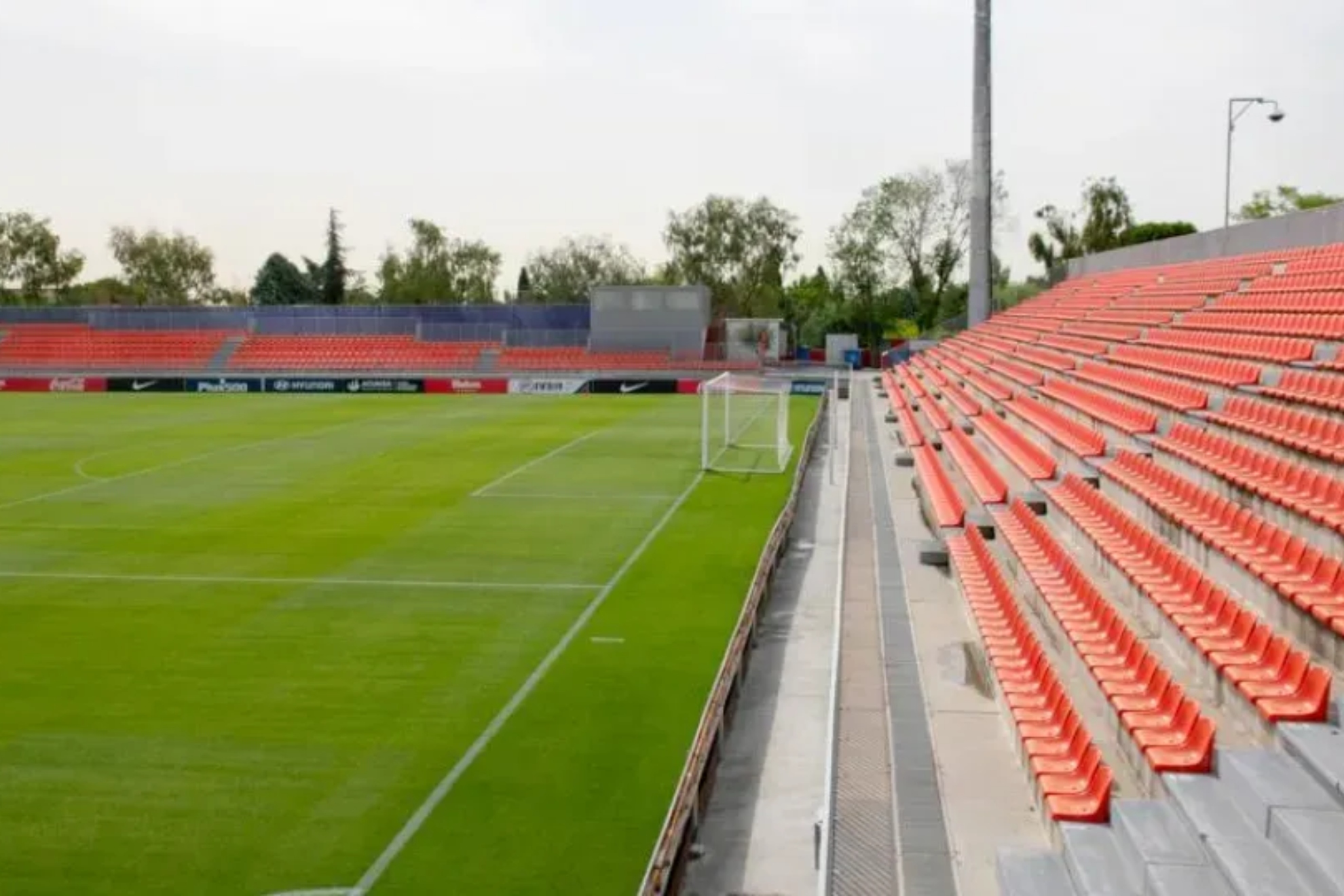Cerro del Espino. RFEF