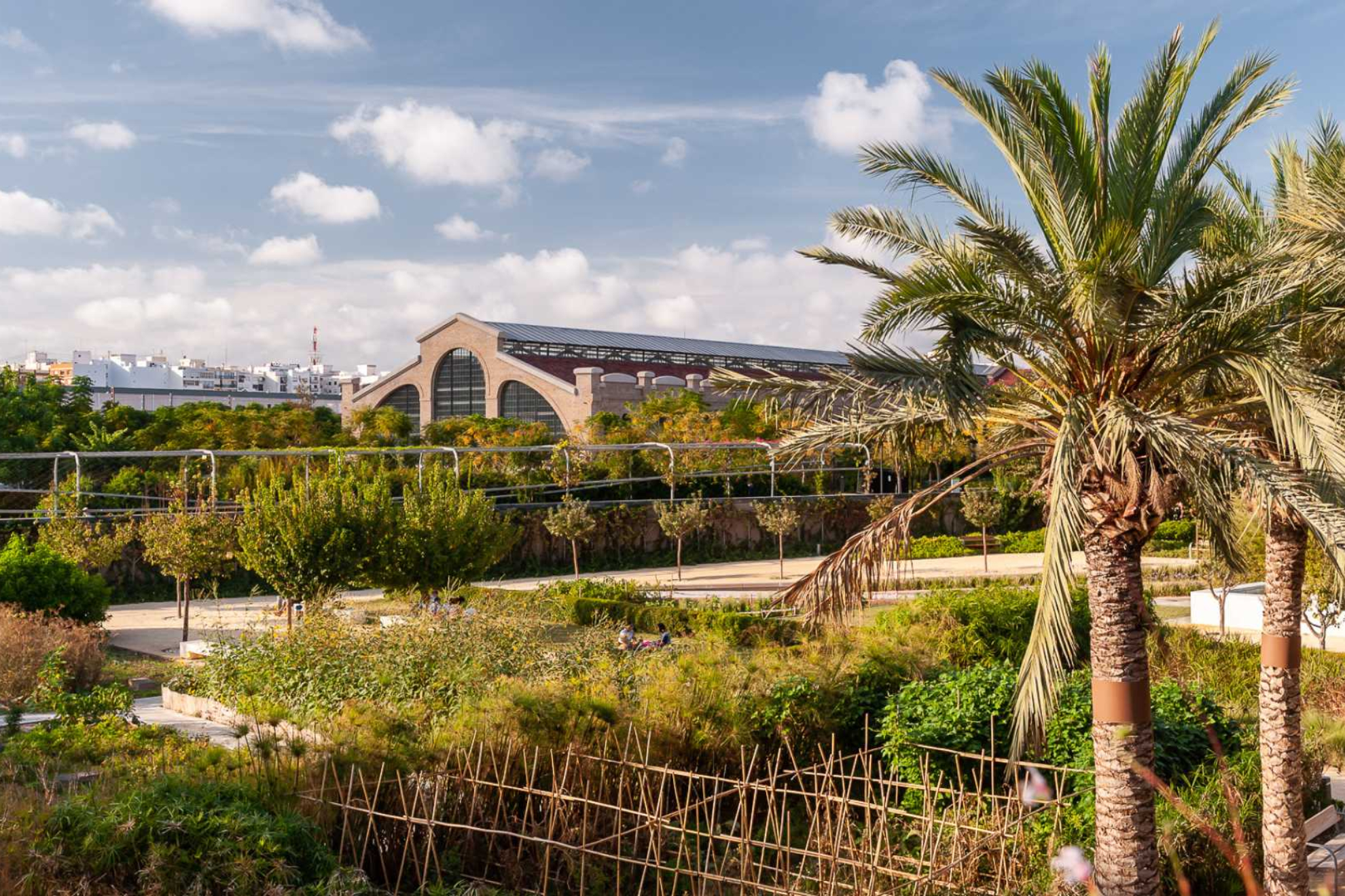 Parc Central de Valencia Comunidad Valenciana