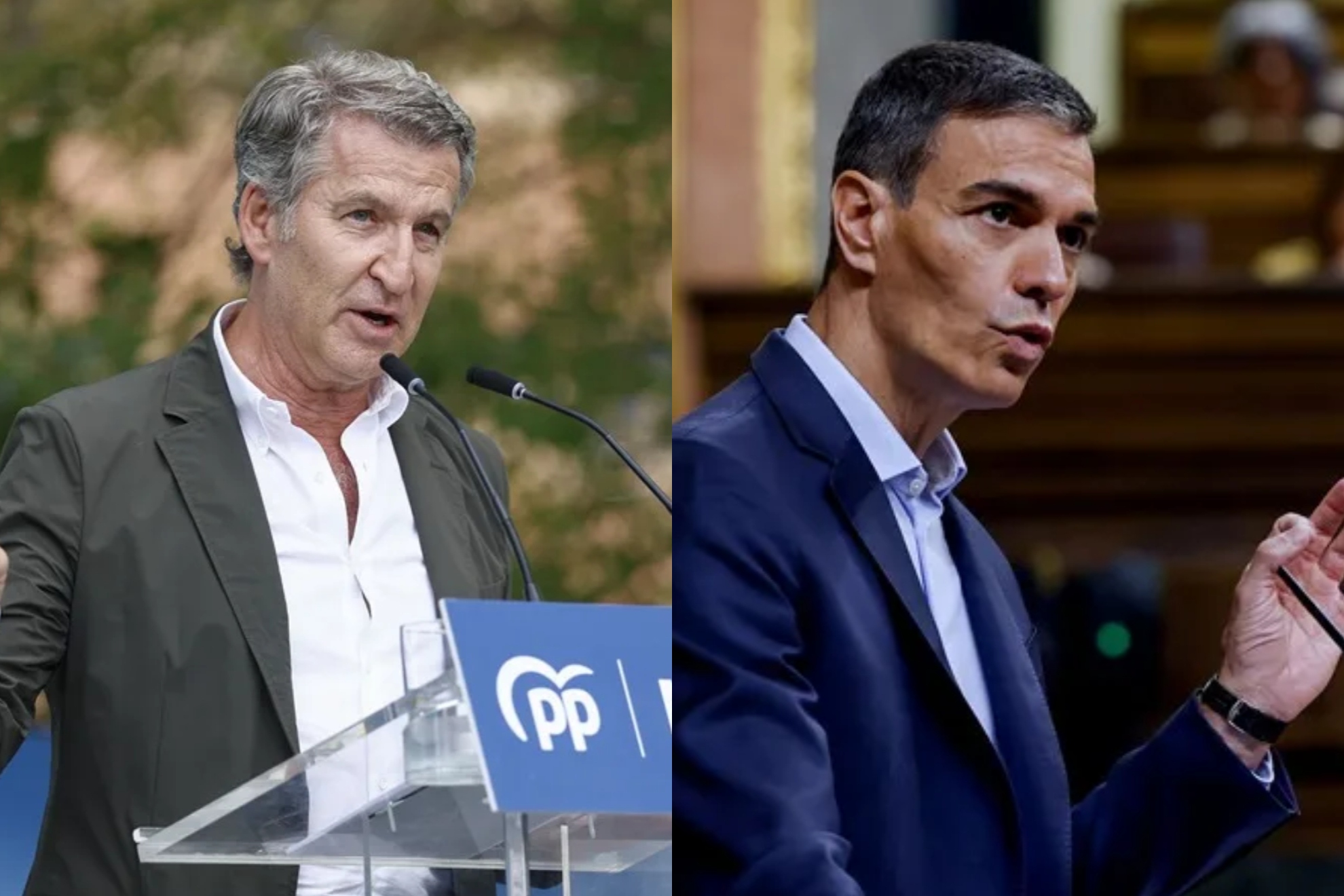 Feijóo y Sánchez.