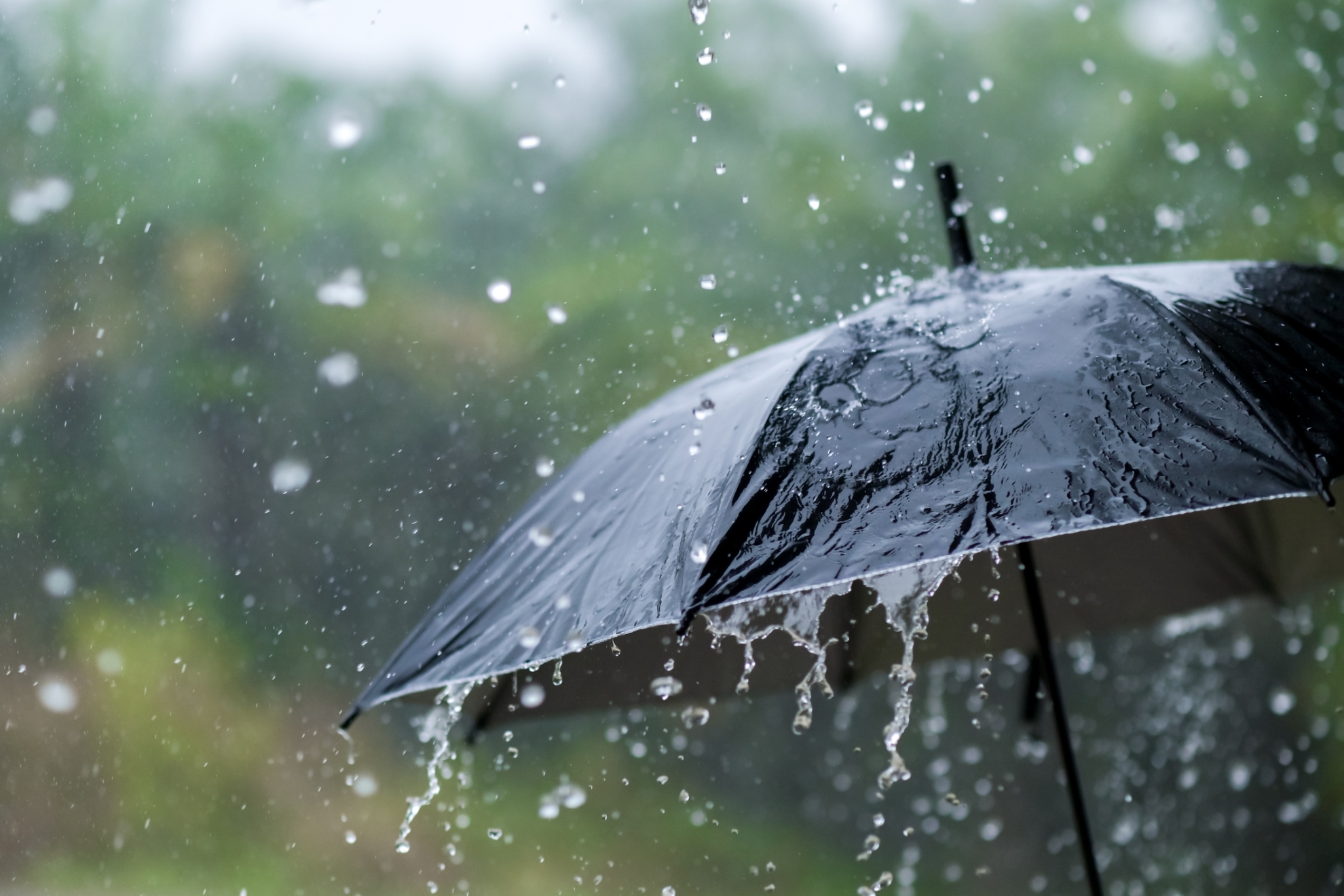 Imagen de recurso de un paraguas ante la lluvia.