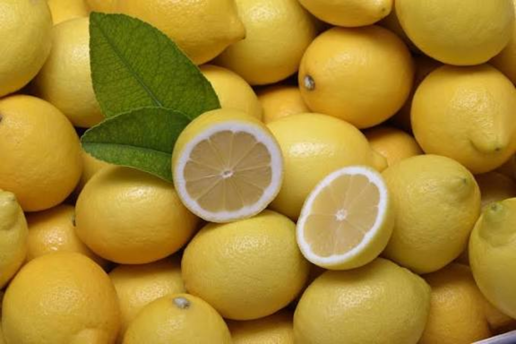 Limones cortados y enteros, foto archivo EFE
