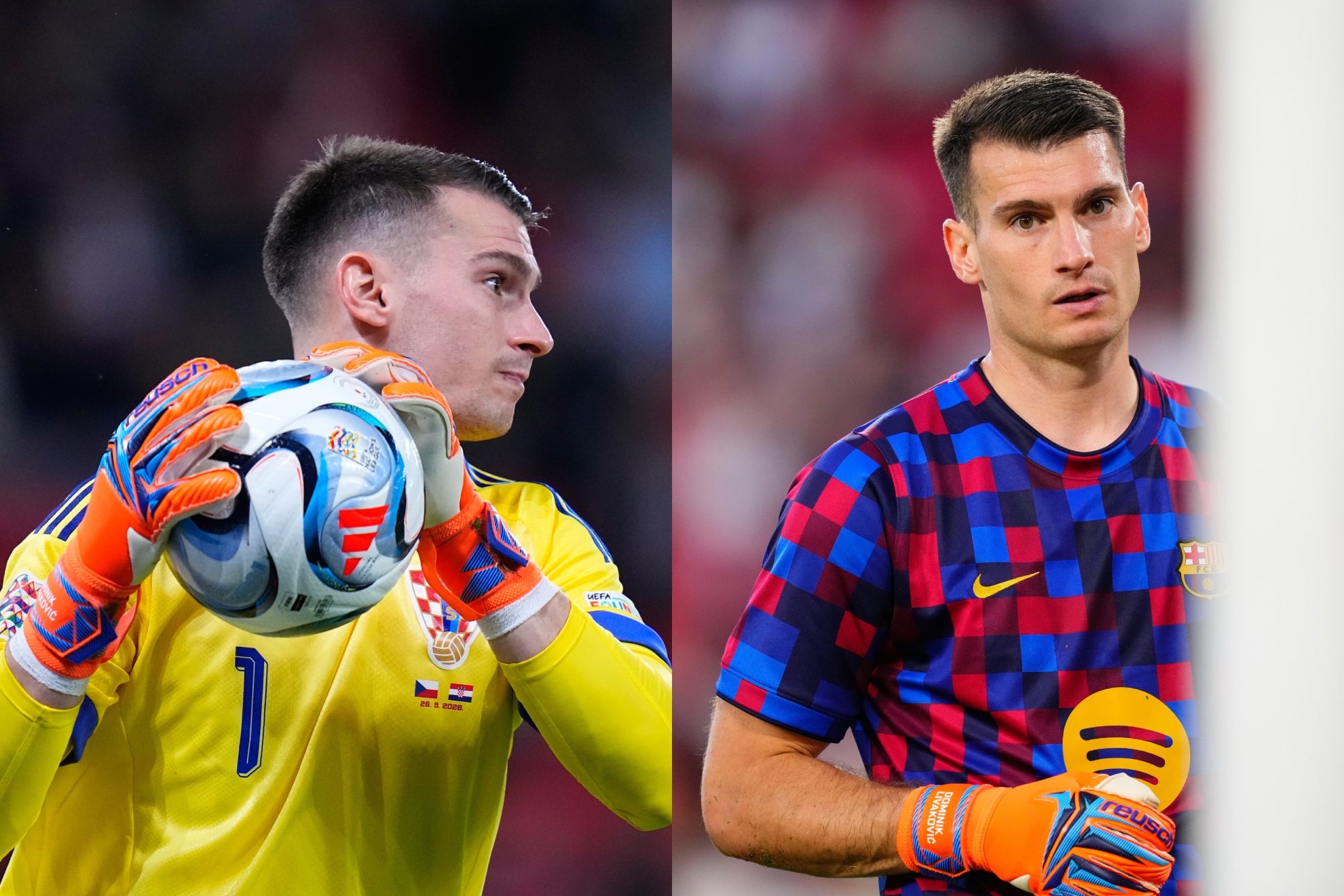 Livakovic