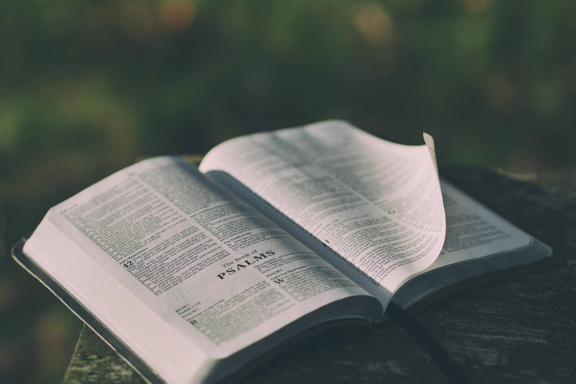 Biblia. PIXABAY