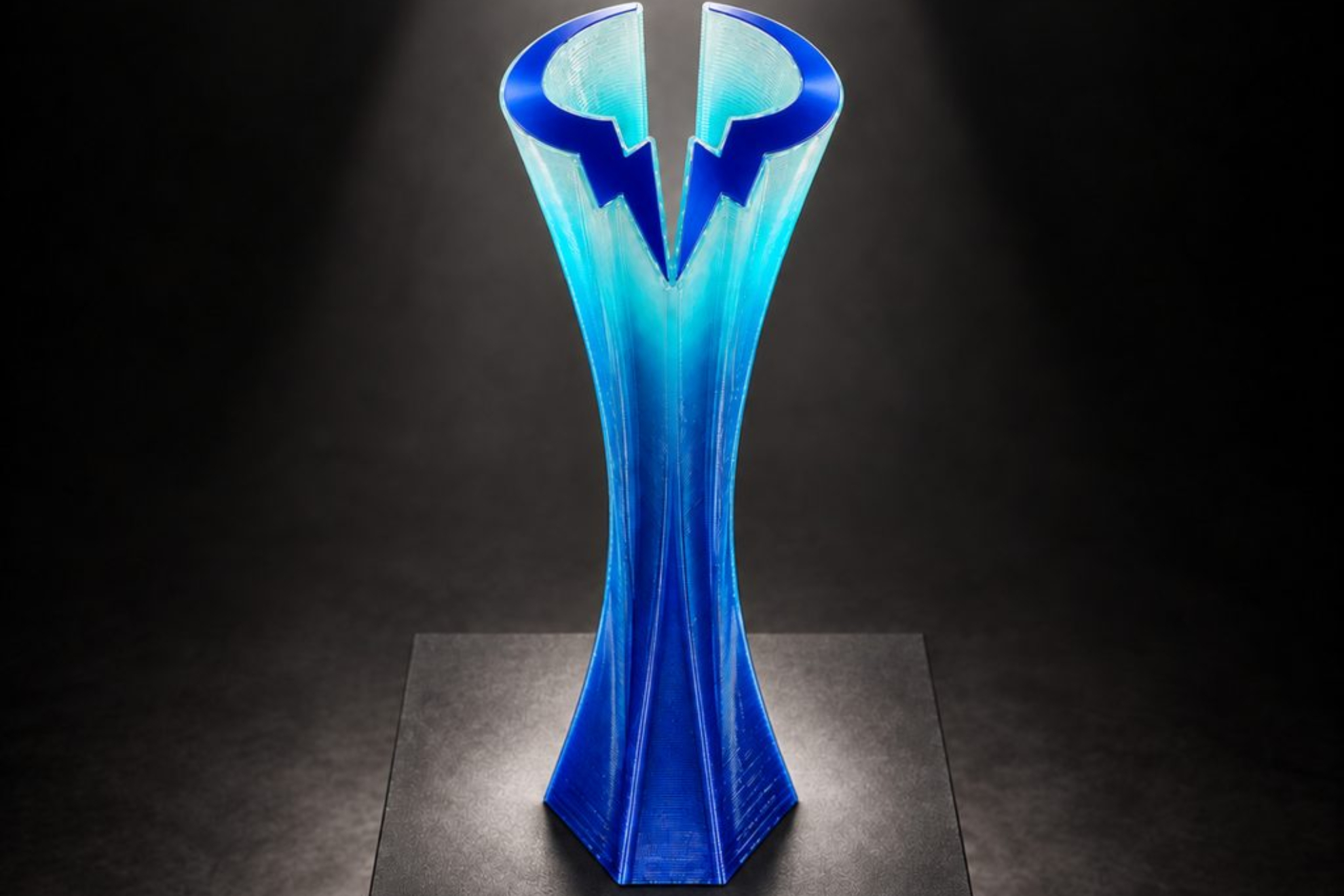 Imagen del trofeo.