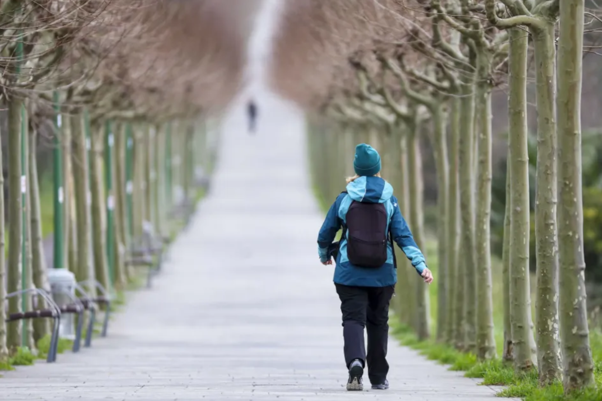 Mujer caminando por un sendero de árboles EFE