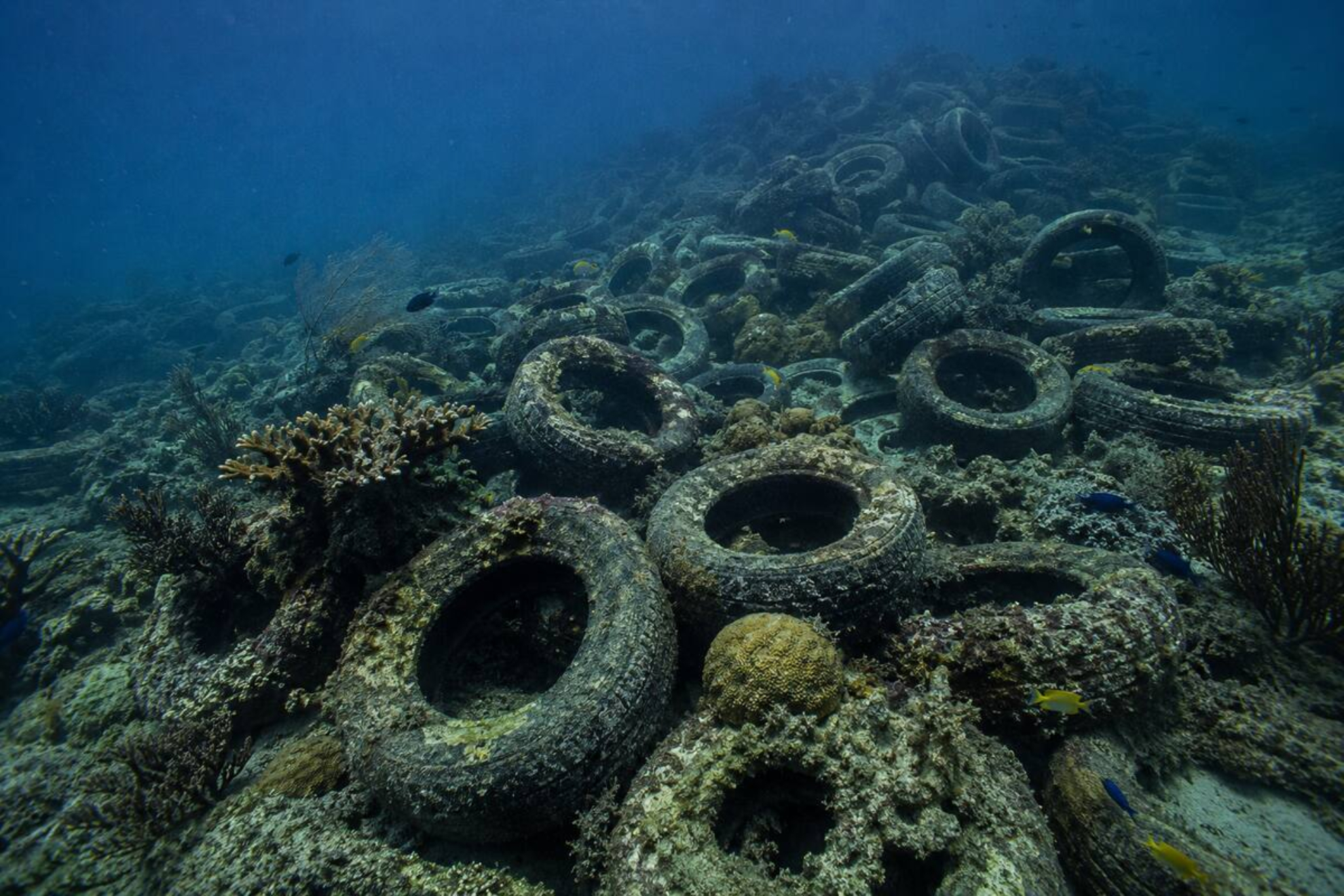 Recreación de neumáticos en el mar IA