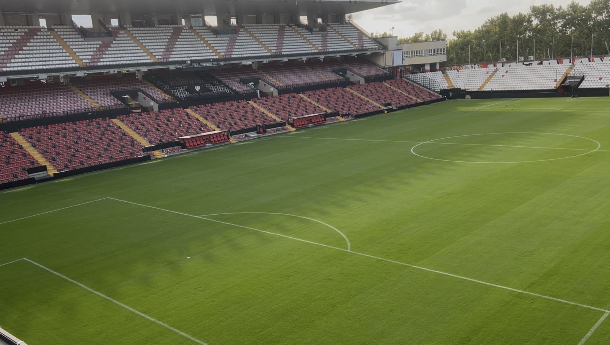 Así luce el césped del estadio de Vallecas.