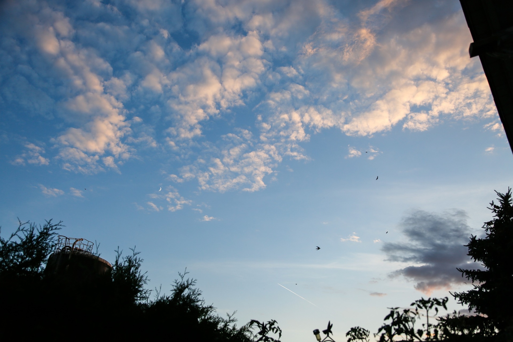 Imagen del cielo y varias nubes. Pixabay.