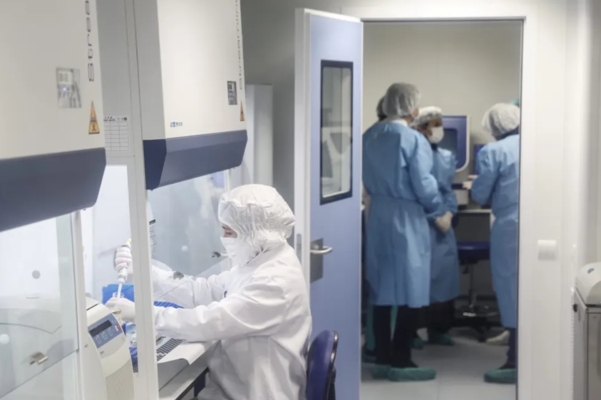 Muere una investigadora en Siberia: se sospecha de una posible exposición al patógeno de la peste EFE