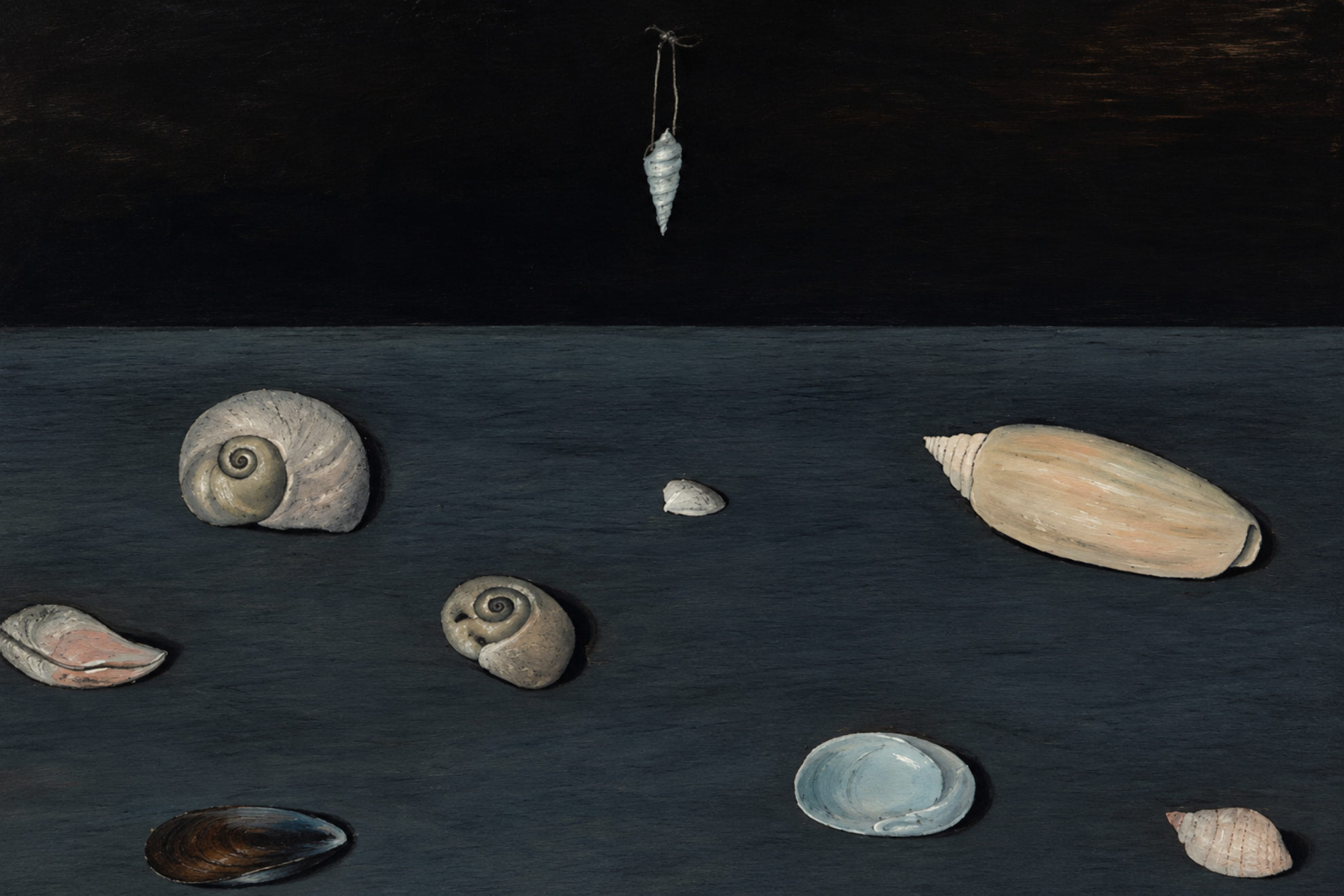 Representacion de Alderman Merriam's Shells IA