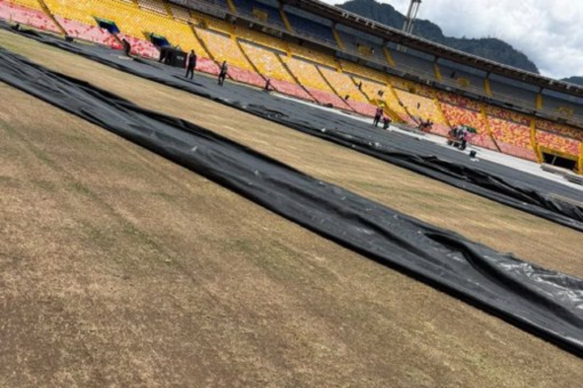 Estado de la grama de El Campín tras los conciertos de BTS: Sencia iniciará plan de recuperación.