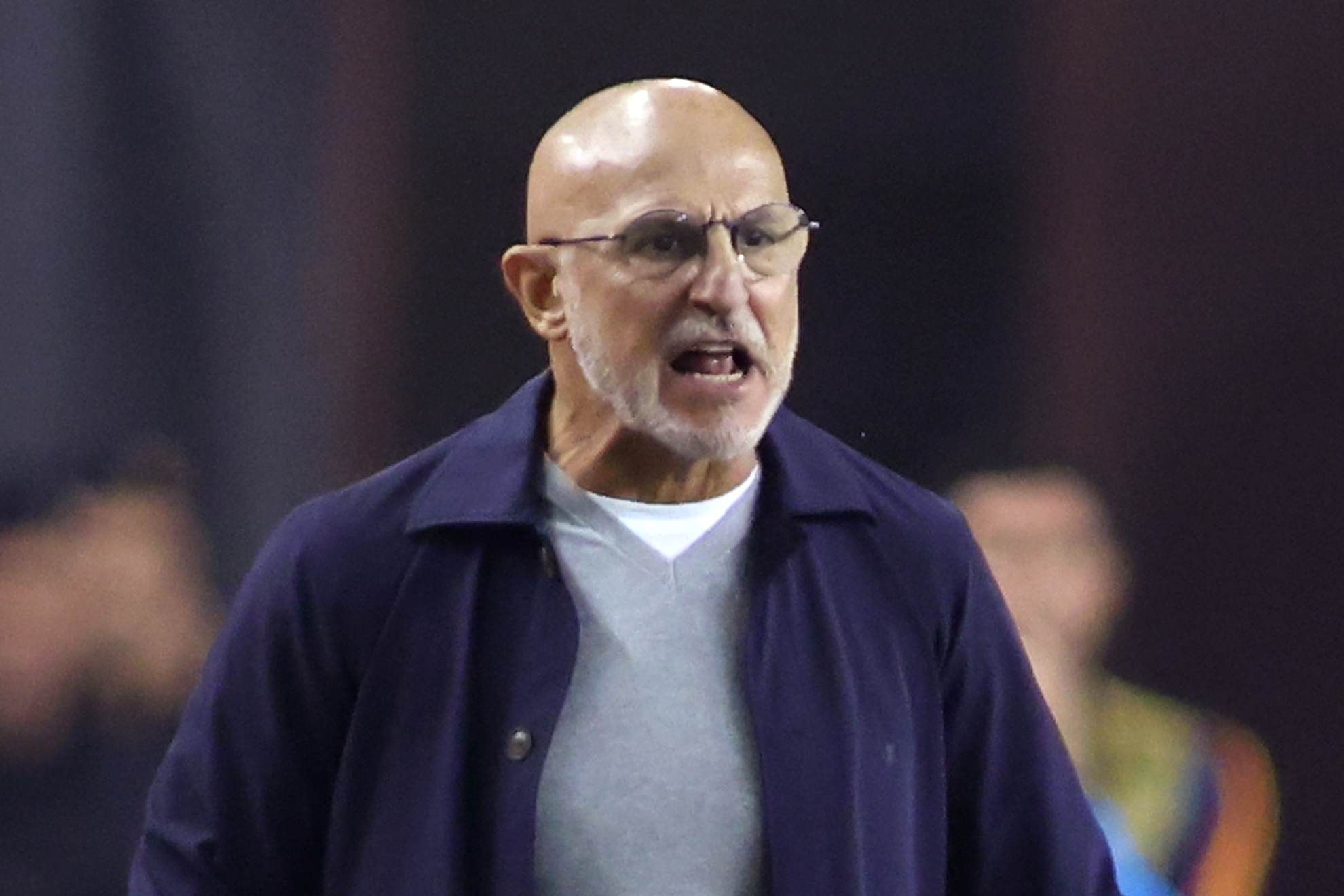 Luis de la Fuente grita durante el partido ante Crocia. CHEMA REY