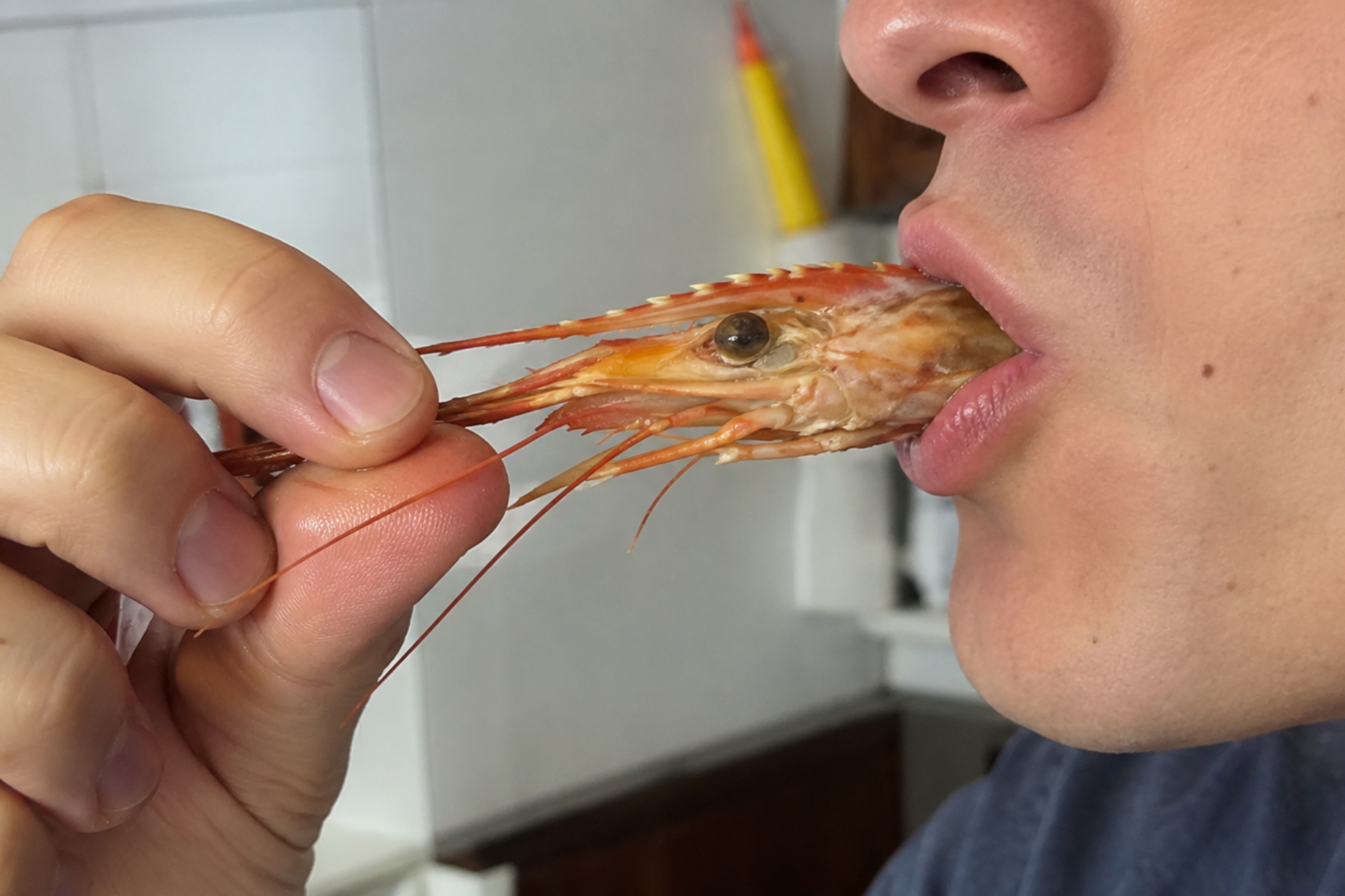 Recreación de una persona chupando una cabeza de una gamba IA
