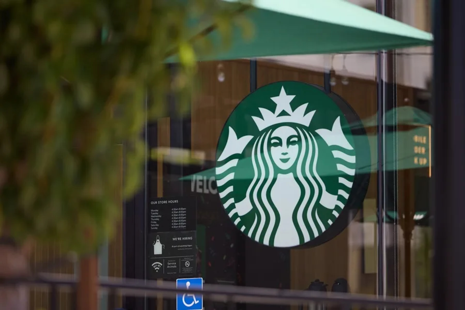 Starbucks pone su foco sobre una empresa estadounidense EFE