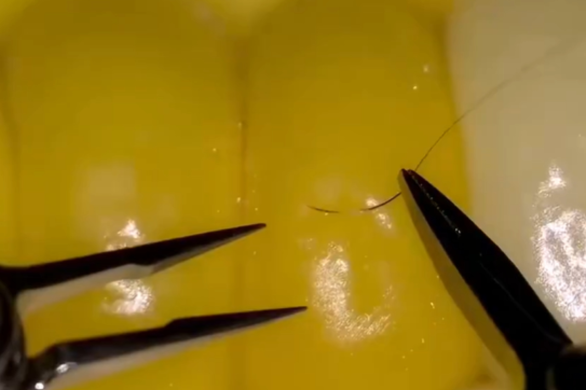 Revolución en el campo de la medicina: este robot es capaz de coser un grano de maíz mediante microcirugía