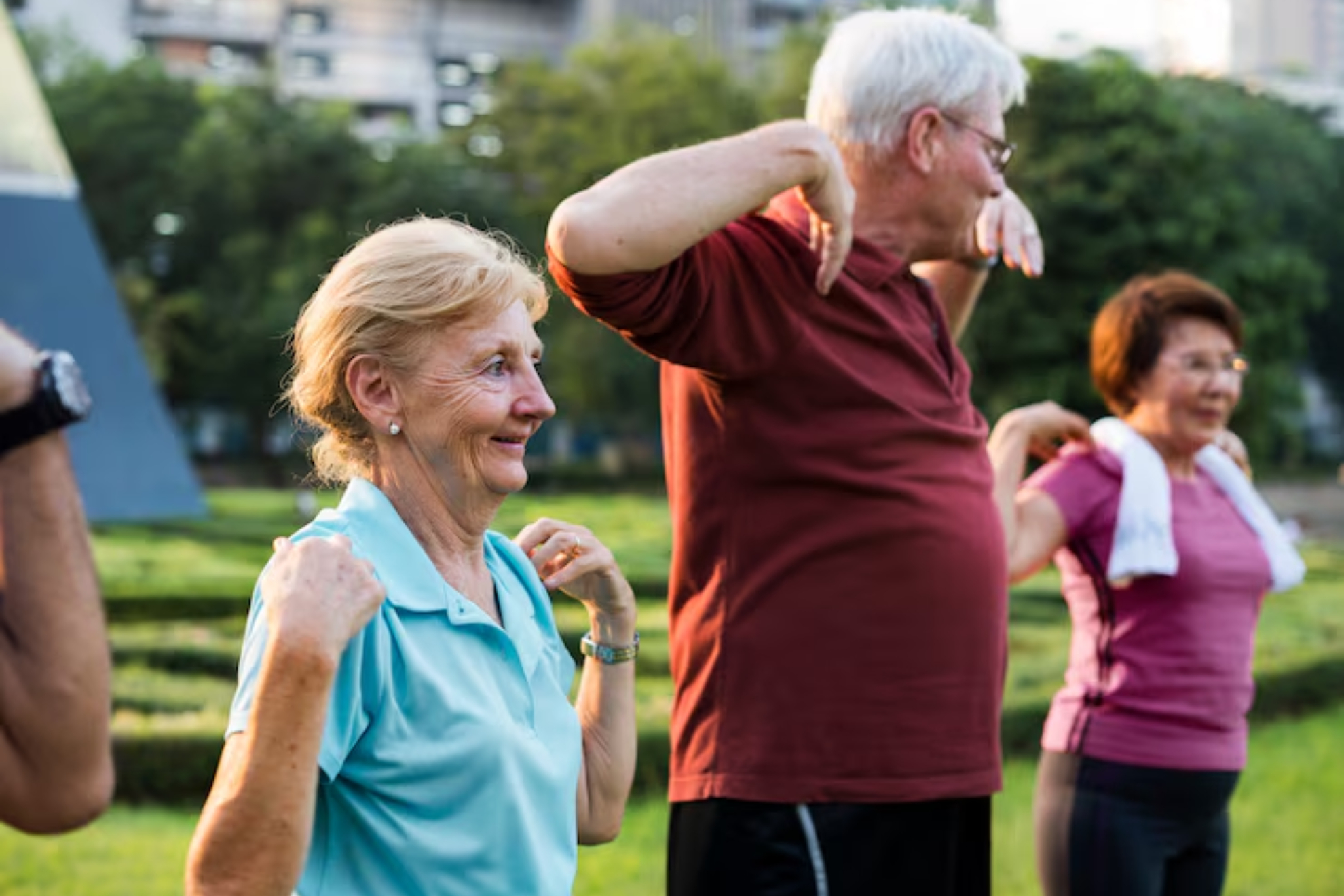 Entrenamiento de la tercera edad Magnific