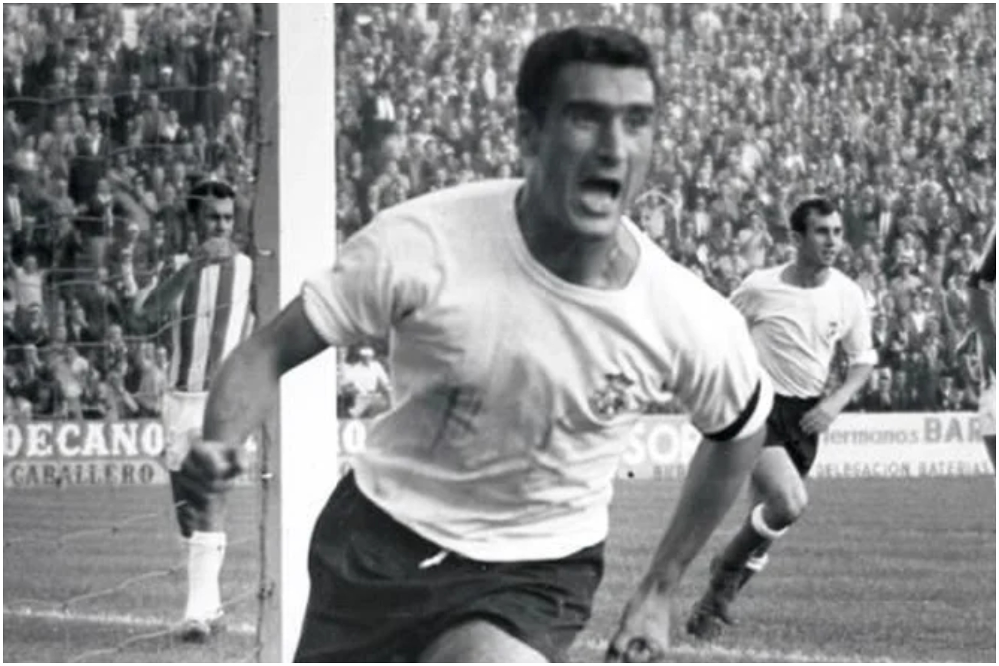 Chisco en una imagen de archivo.