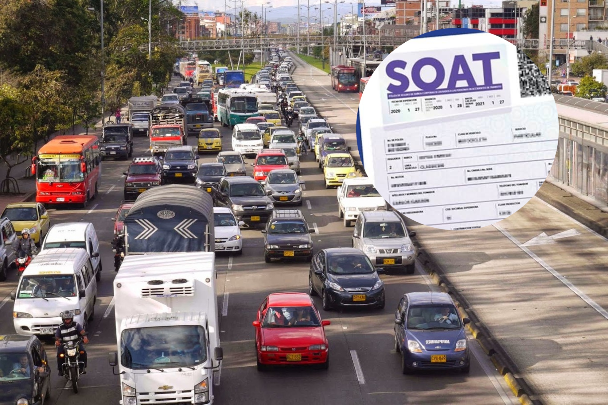 Así podrá pagar menos en la renovación del SOAT: el requisito clave del nuevo proyecto.