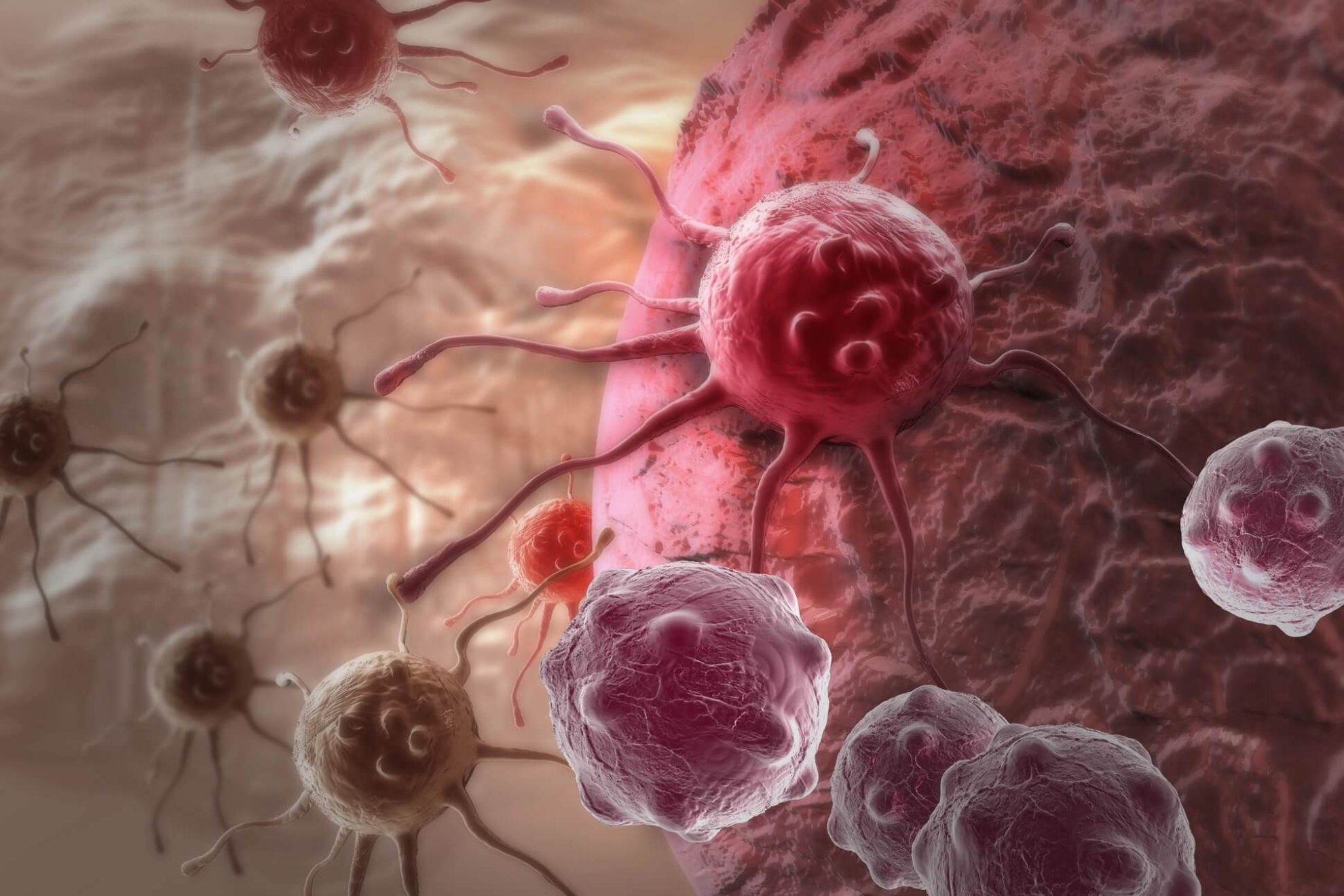 Las células interpretan un entorno físico anómalo como una amenaza y se autodestruyen.