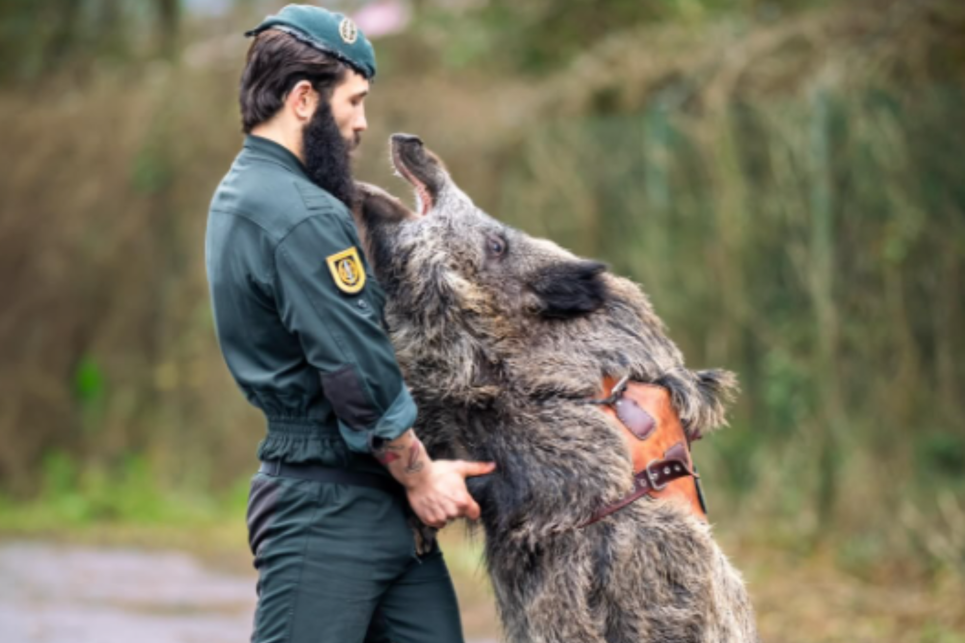Guardia Civil
