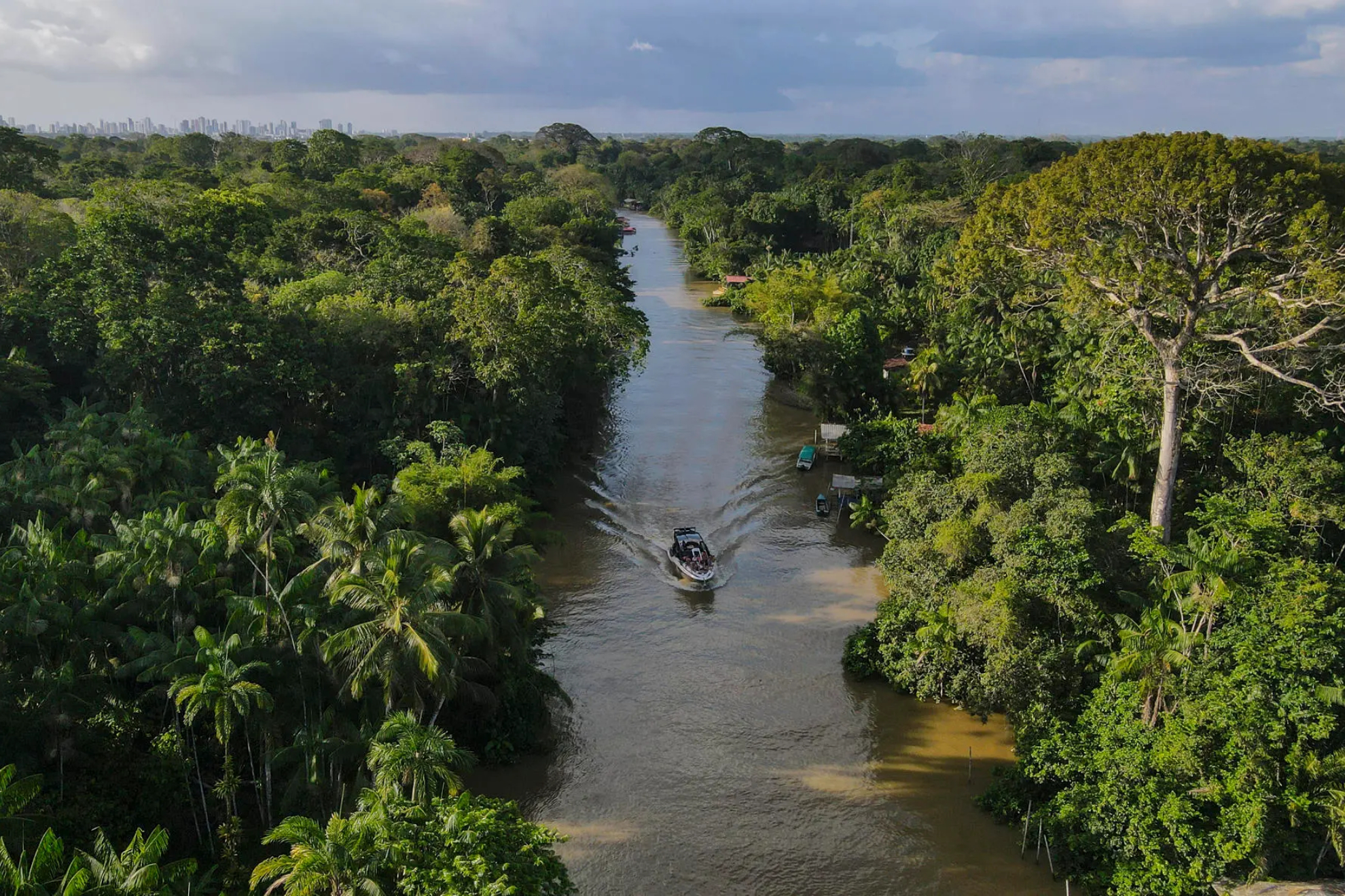 Imagen archivo de el Amazonas EFE