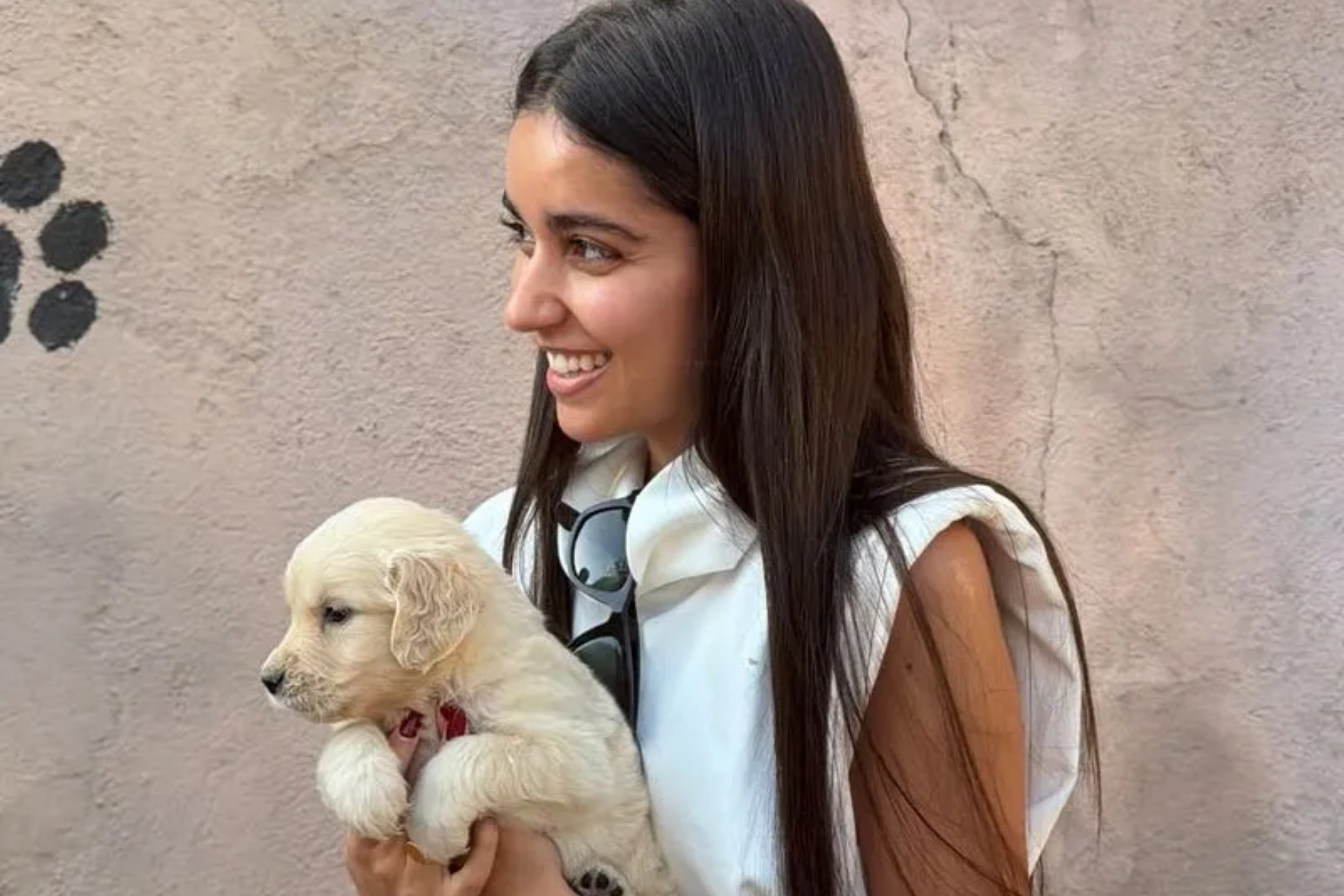 Inés García - cachorros