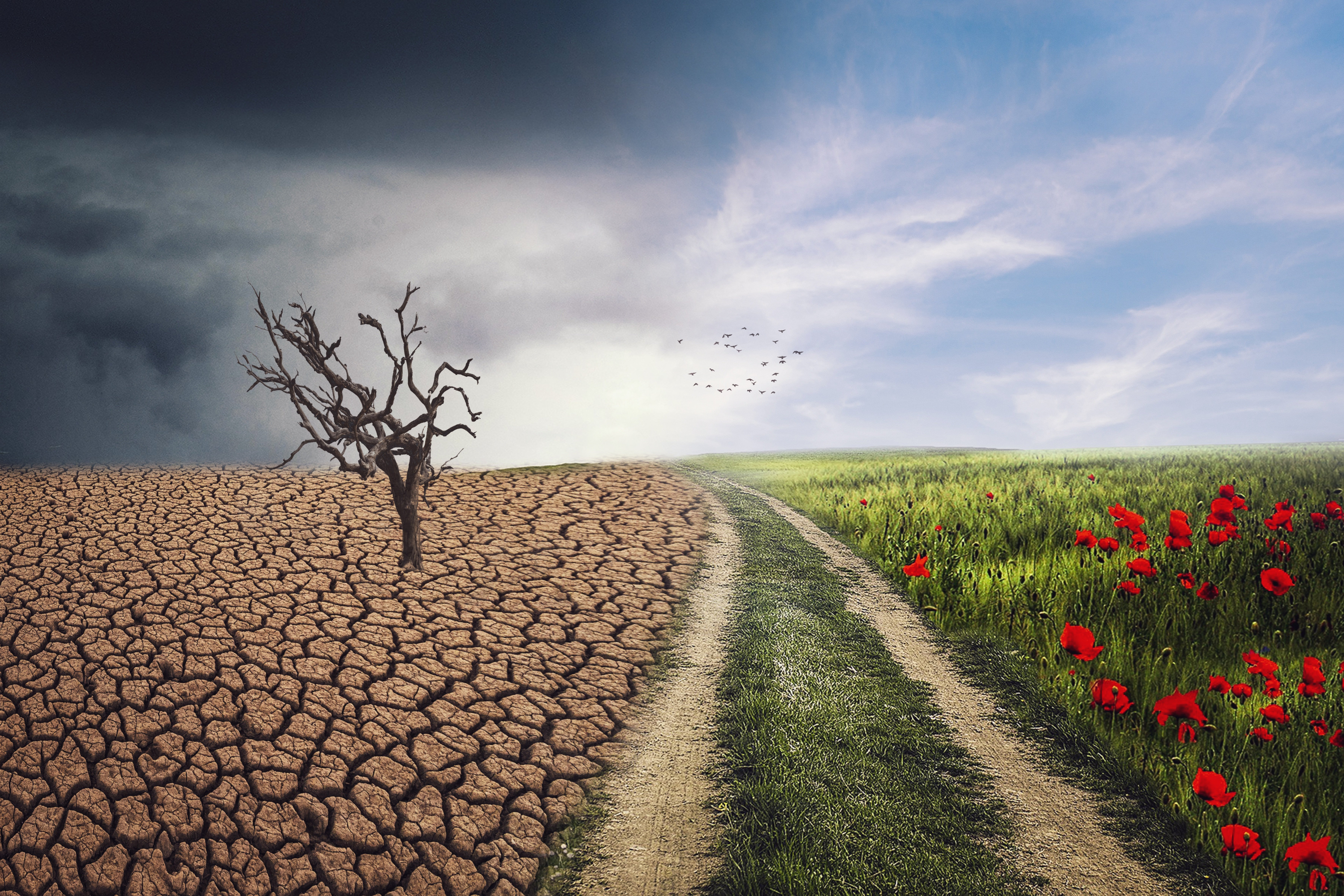 El cambio climático puede afectarte